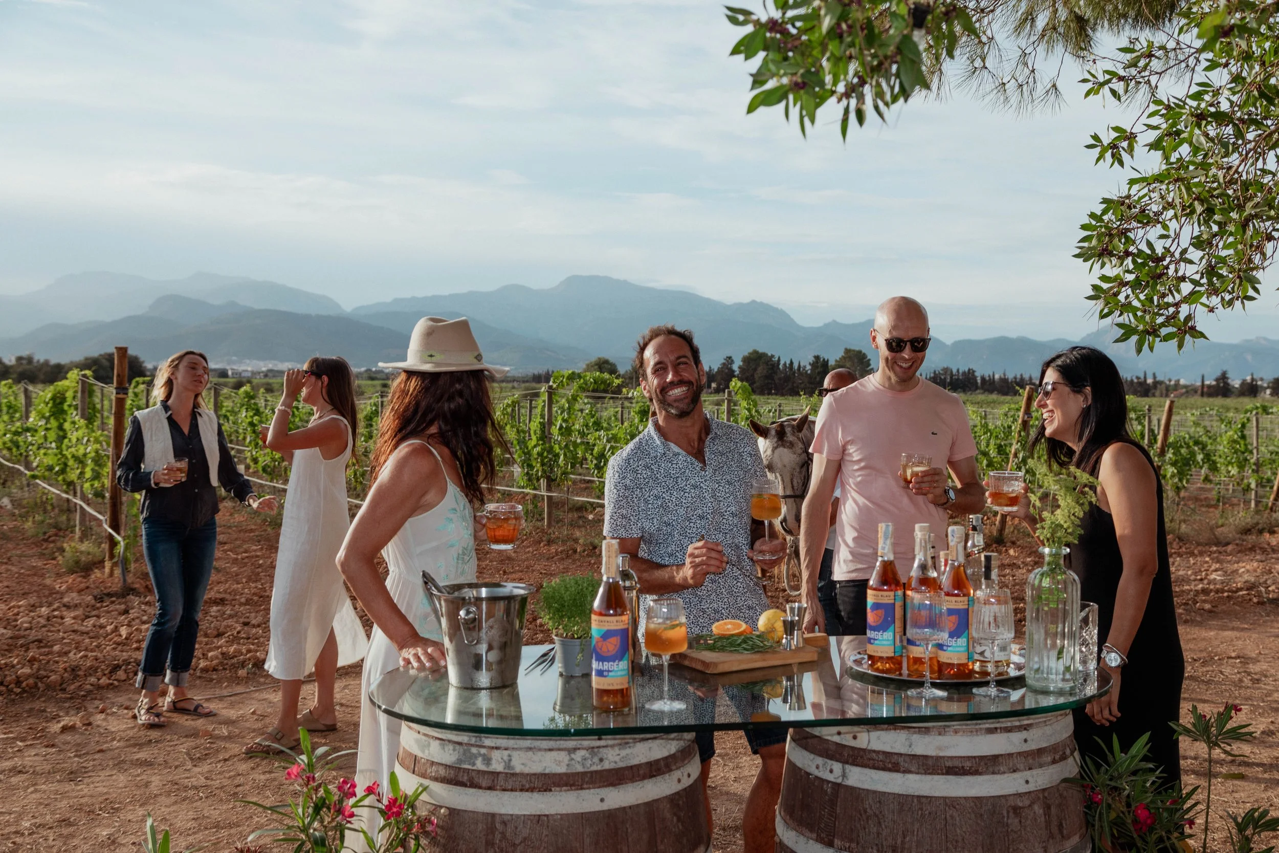A group of people enjoying drinks at a vineyard, with mountains in the background, behind a table made of wine barrels, with bottles and glasses of drinks on it, and a donkey partly visible behind the group.