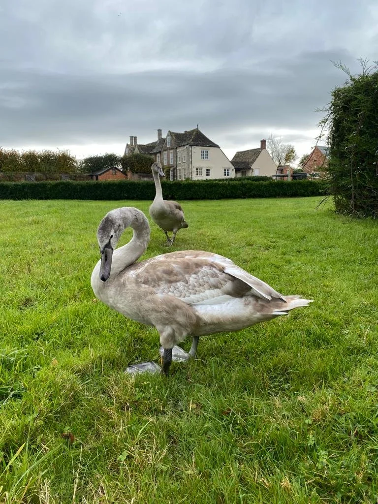 WhatsApp Image 2024-05-13 at 20.08.00.jpeg