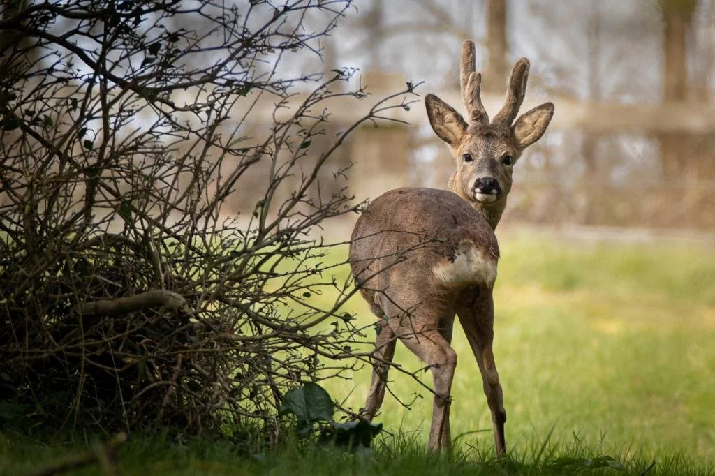 WhatsApp Image 2024-05-13 at 20.39.30 (1).jpeg