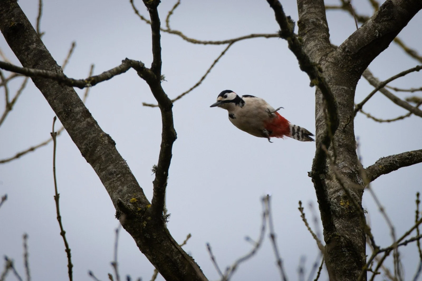 WhatsApp Image 2024-05-13 at 20.40.59.jpeg