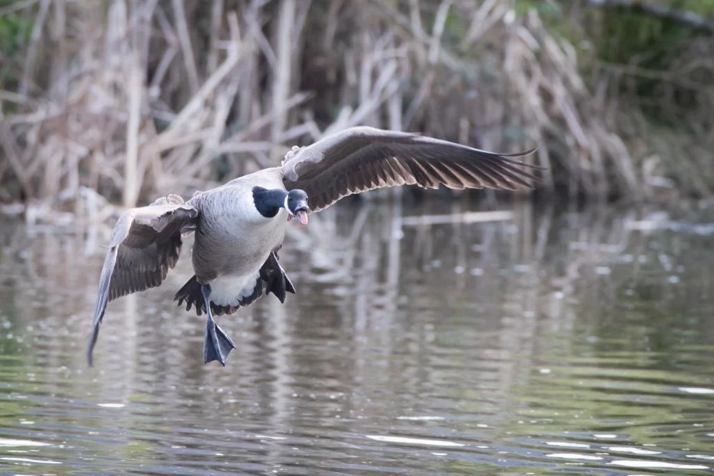 WhatsApp Image 2024-05-13 at 20.40.07 (1).jpeg