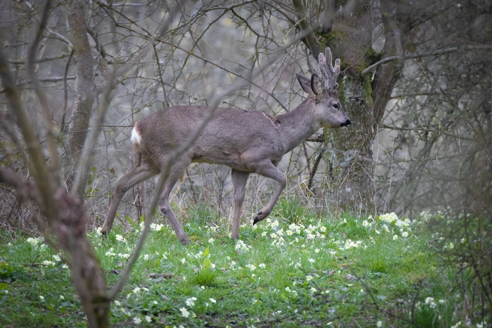 WhatsApp Image 2024-05-13 at 20.42.12.jpeg