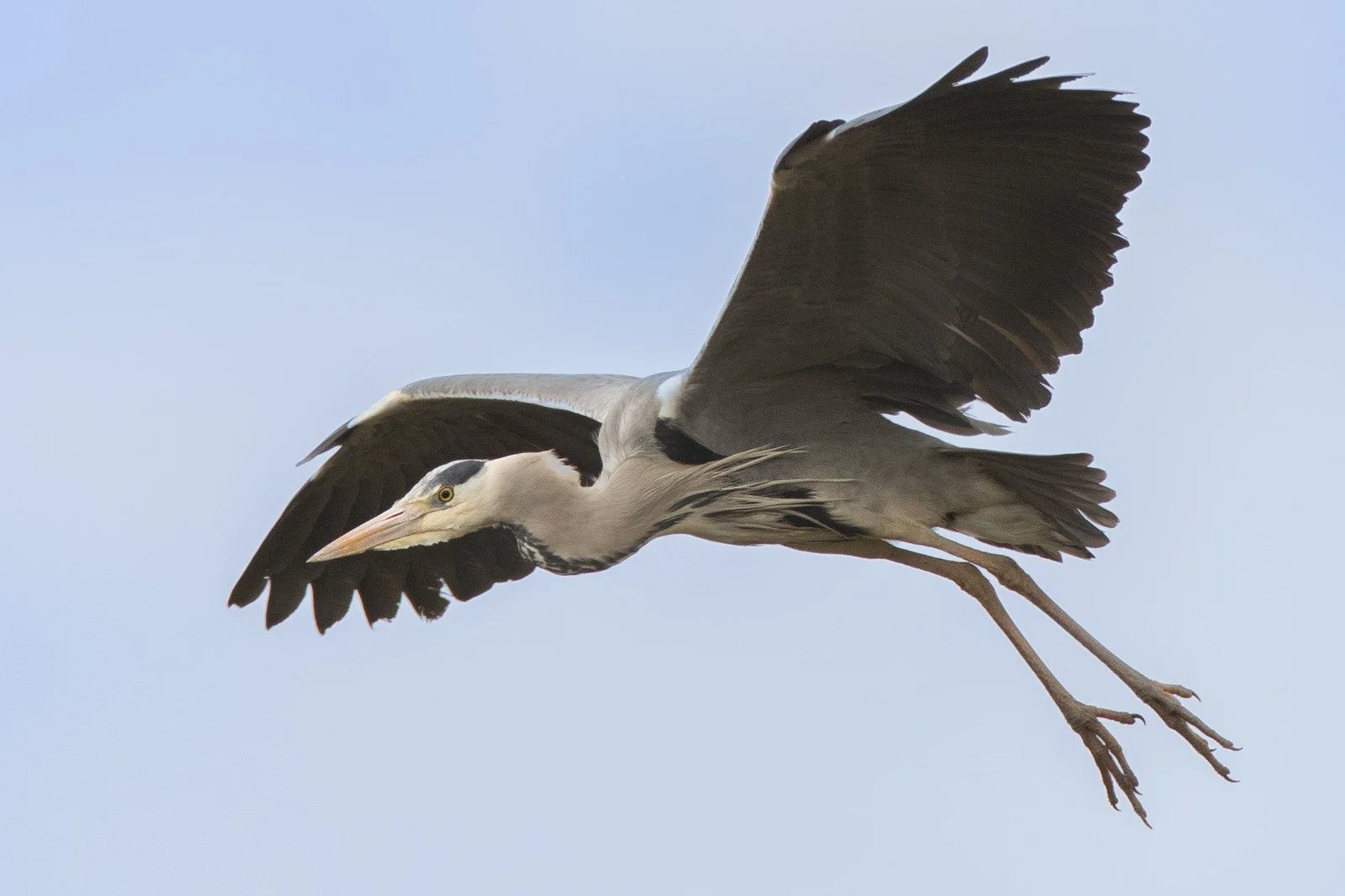 WhatsApp Image 2024-05-13 at 20.40.44 (1).jpeg