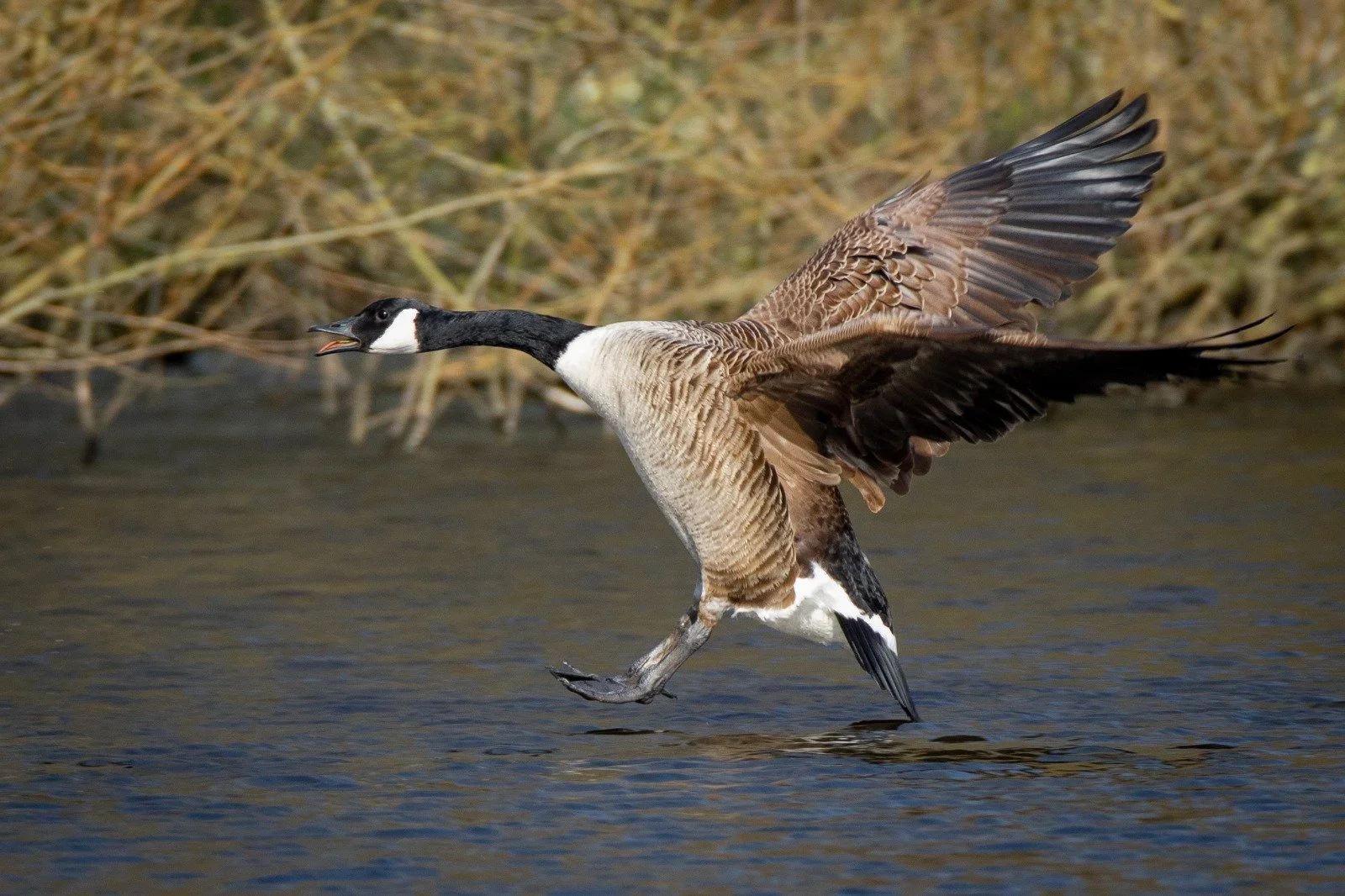 WhatsApp Image 2024-05-13 at 20.43.15.jpeg