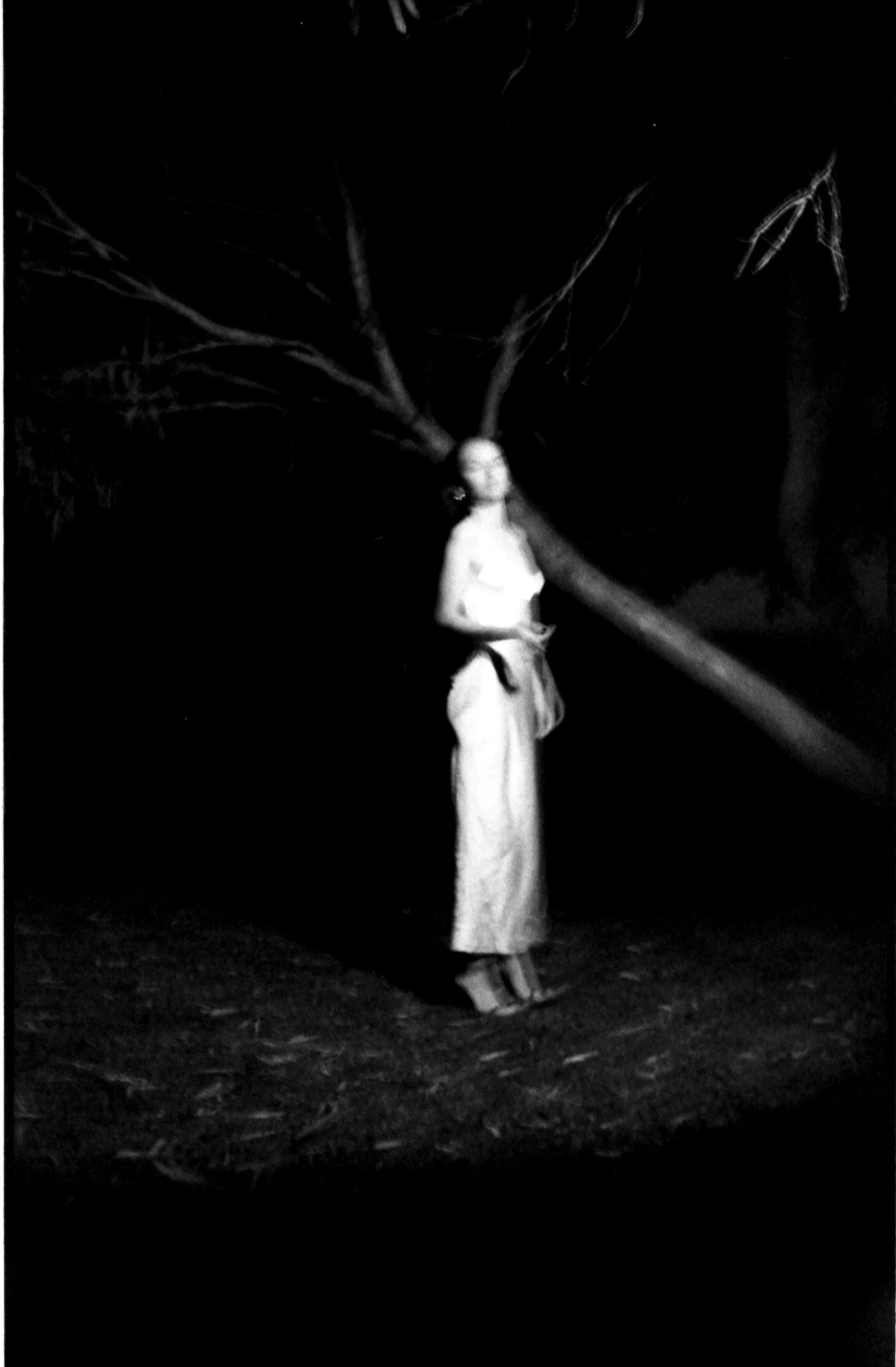 mouvement nocturne009 .jpg