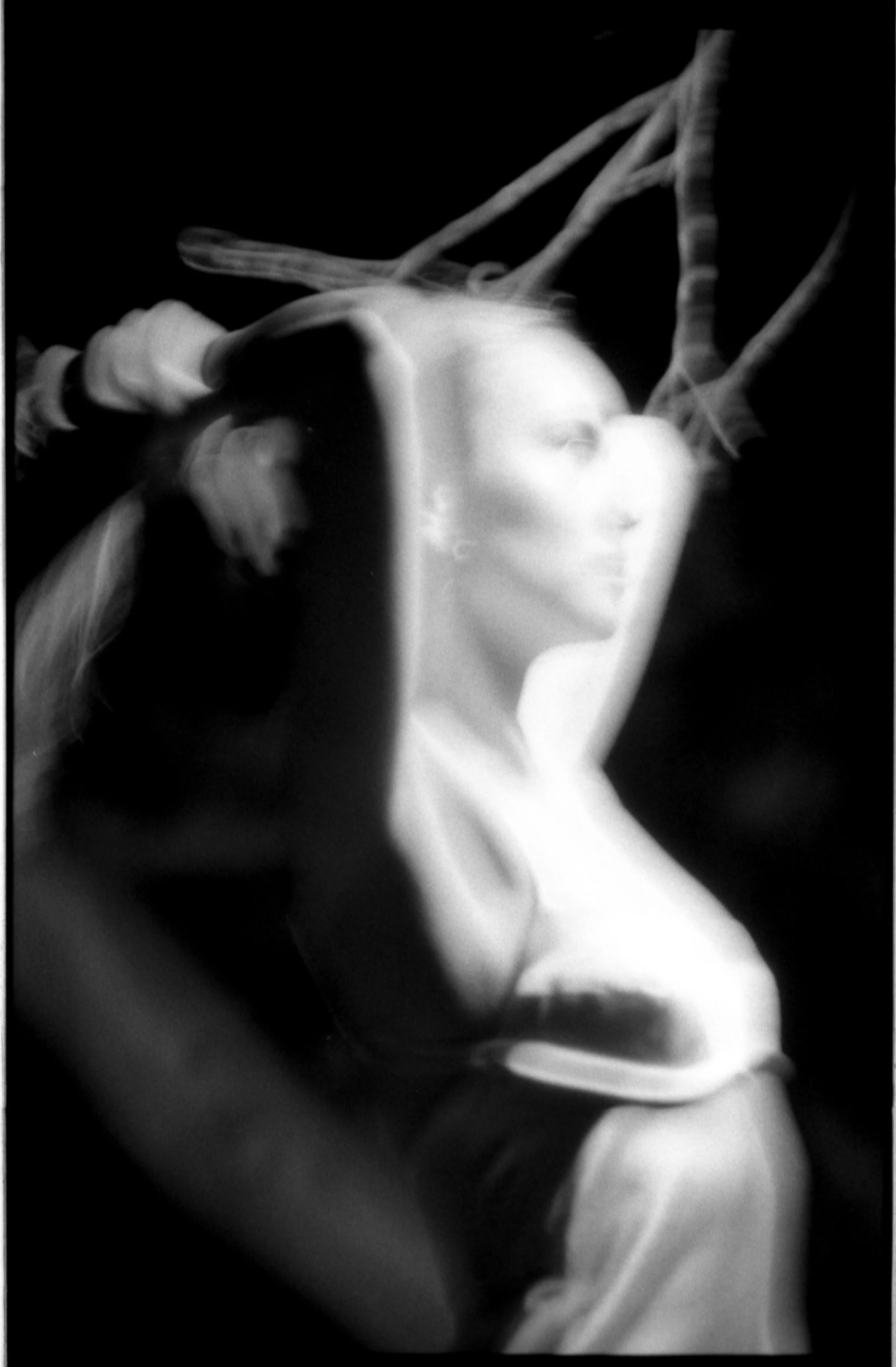 mouvement nocturne016 .jpg