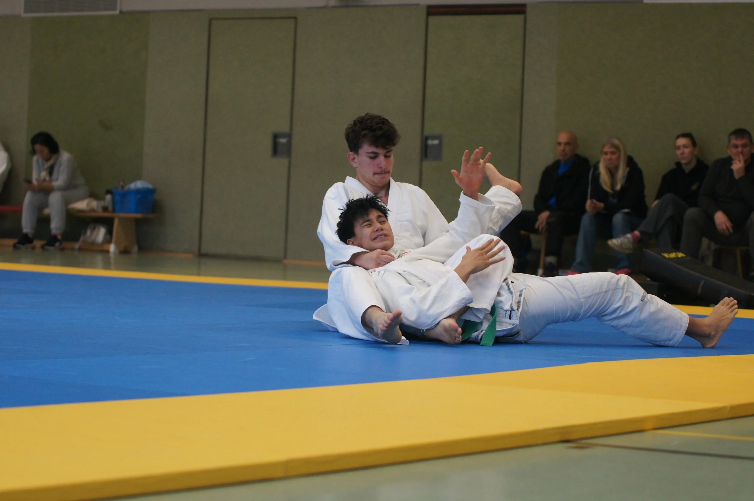 Mario Stefan, Würgetechnik