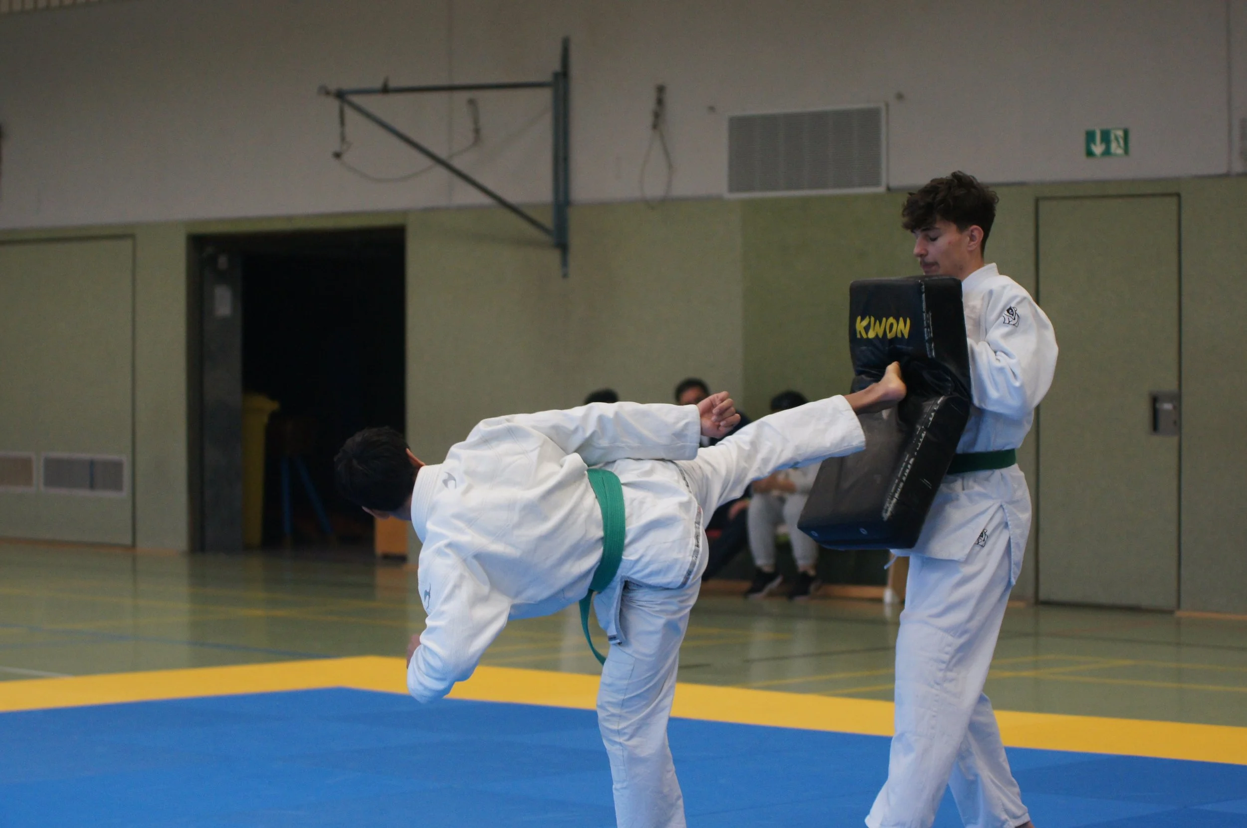 Valentin Tran mit einem Fußstoß seitwärts