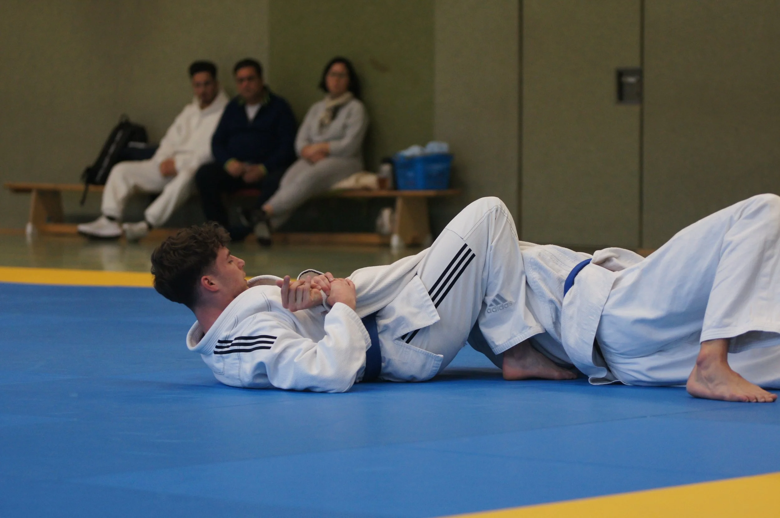 Nikas Manschitz im Seitstreckhebel