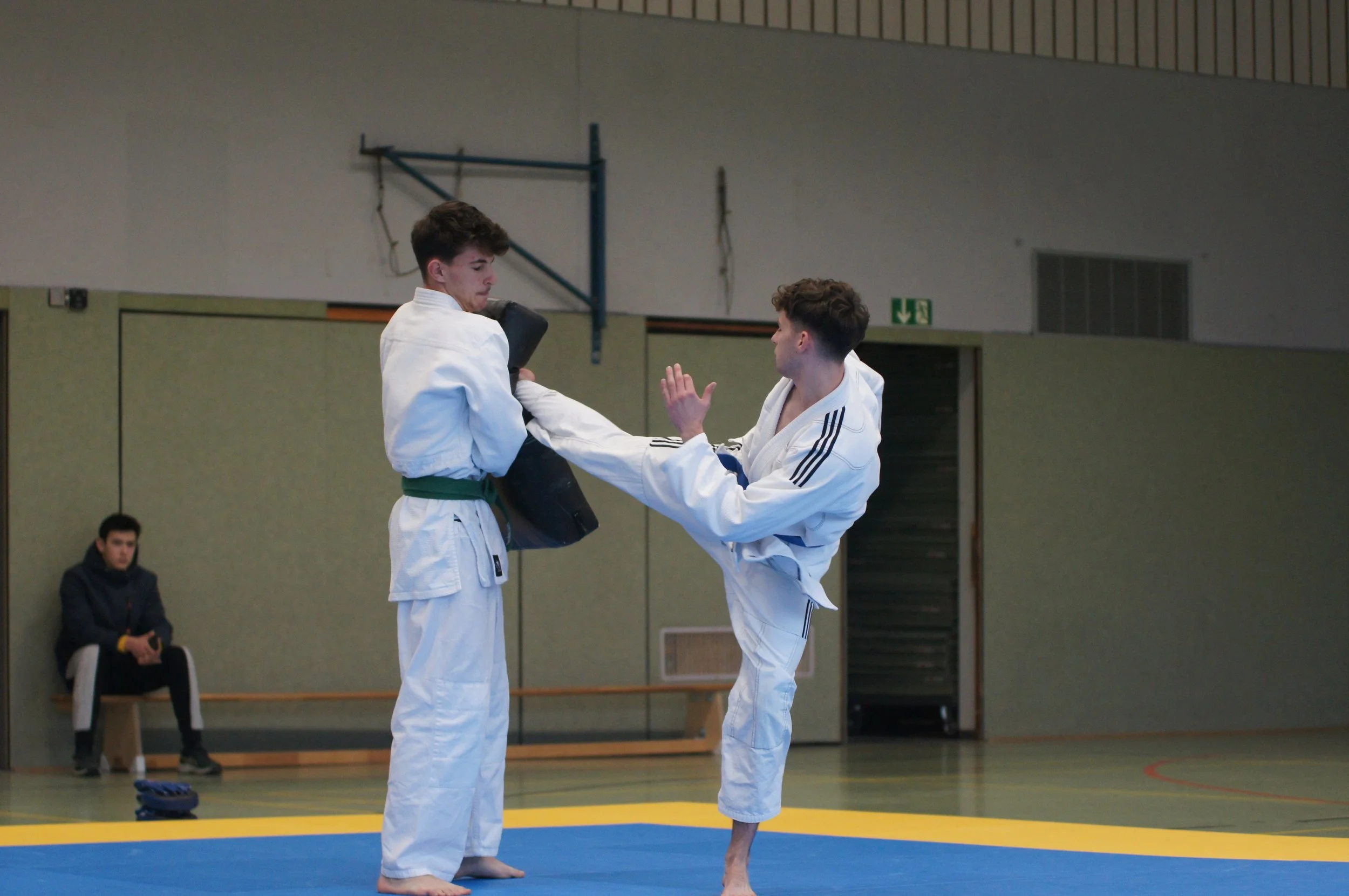 Nikas Manschitz mit einem Halbkreisfußtritt