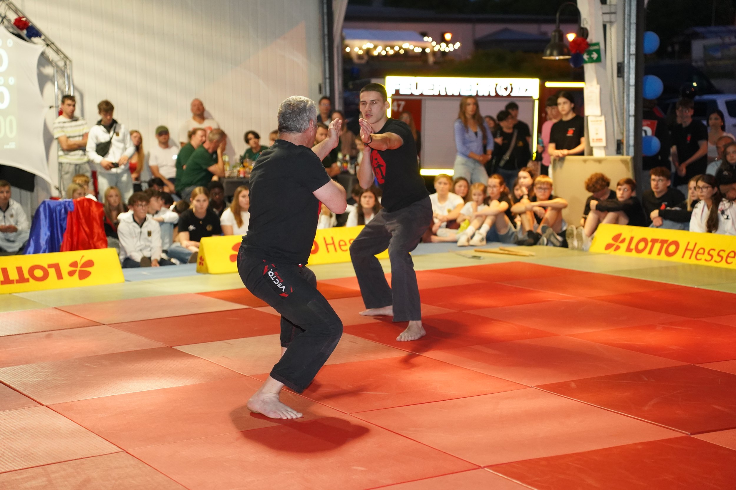 Mark und Marco de Fazio in Aktion