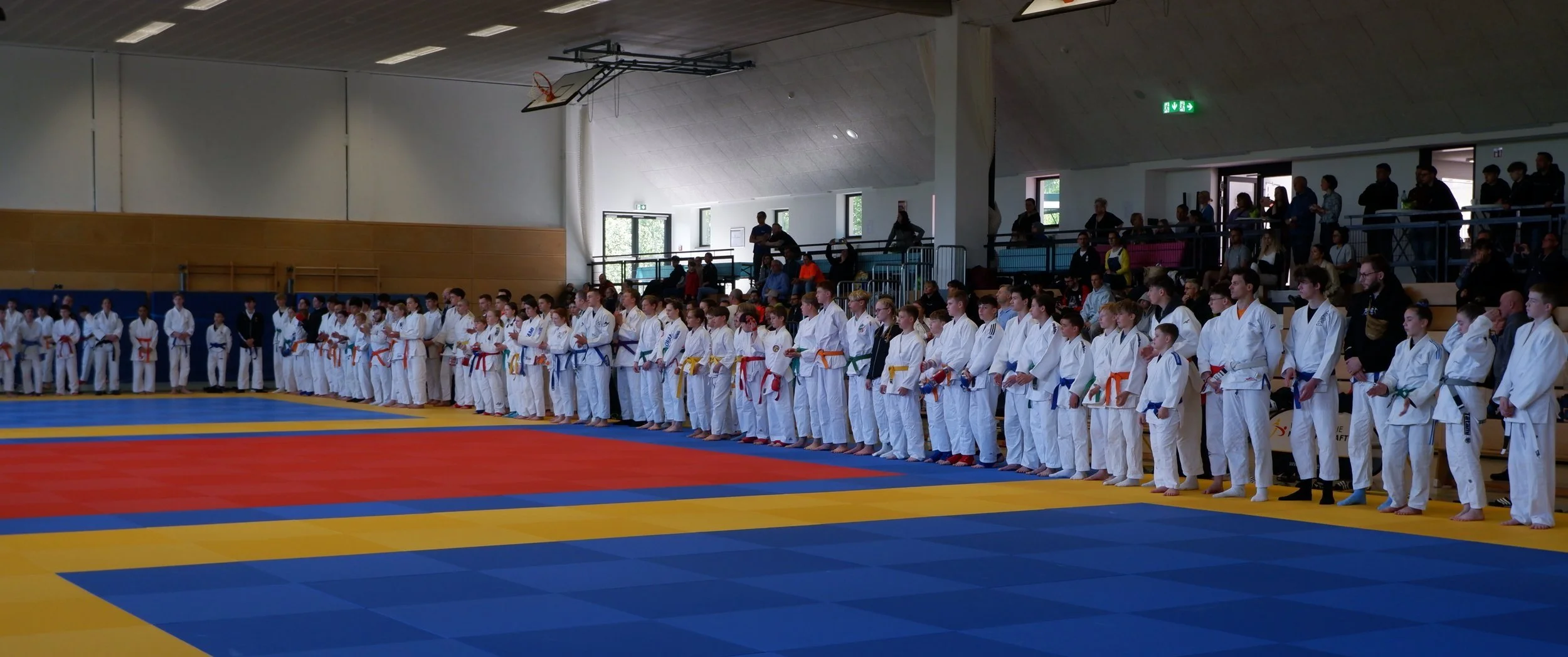 50 Jahre Judo Club Erbach