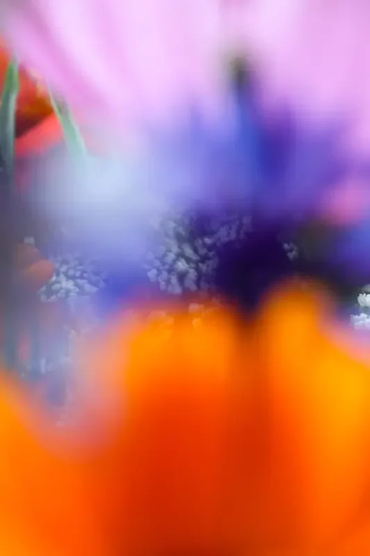 FARBLESE | A HARVEST OF COLOR