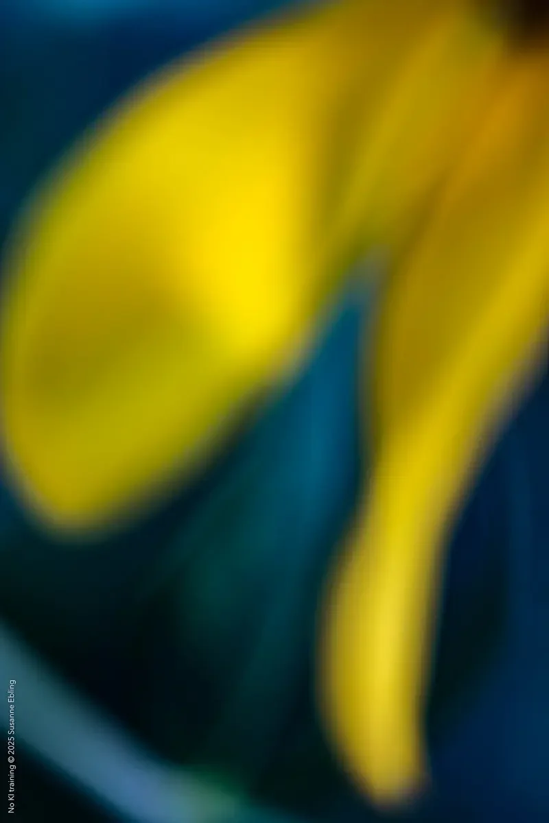 FP-007-24.webp