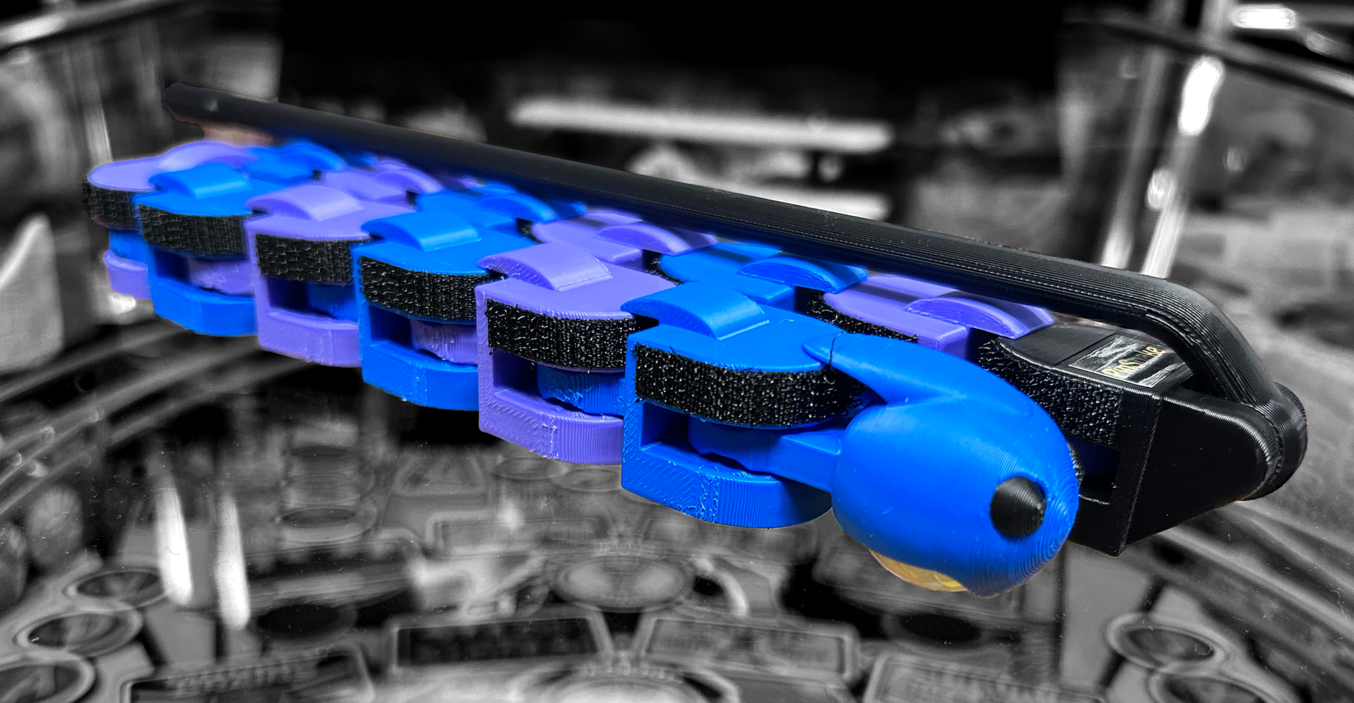 Blue Purple PinSnake