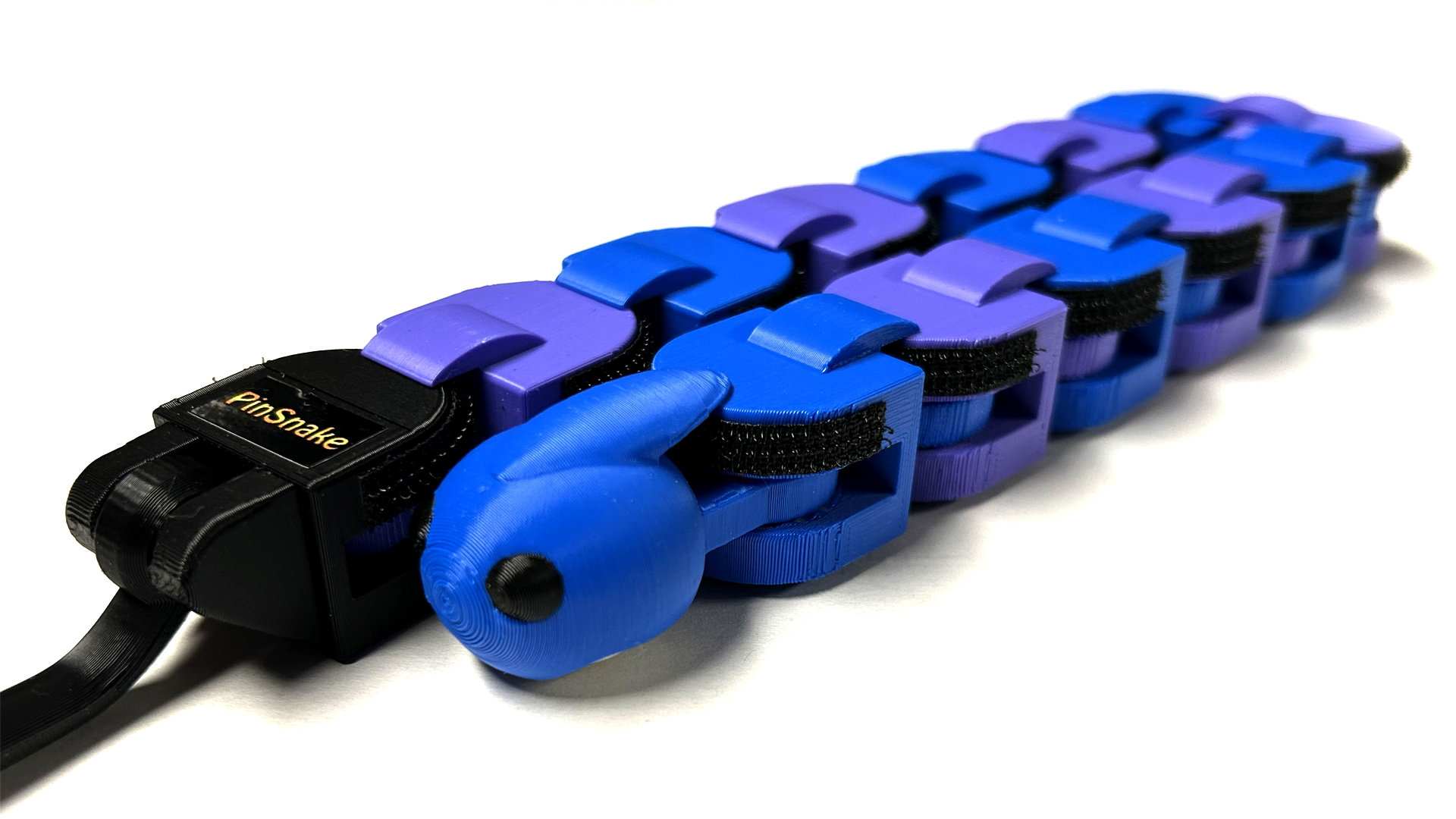 Blue / Purple PinSnake