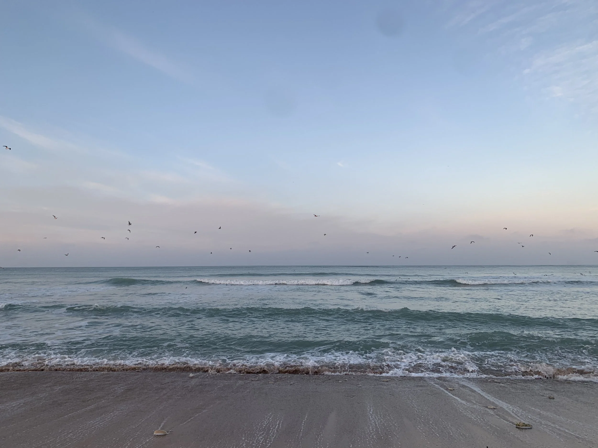Une plage avec le sable, la mer calme, des vagues et un ciel clair avec quelques nuages, et des oiseaux volant dans le ciel.
