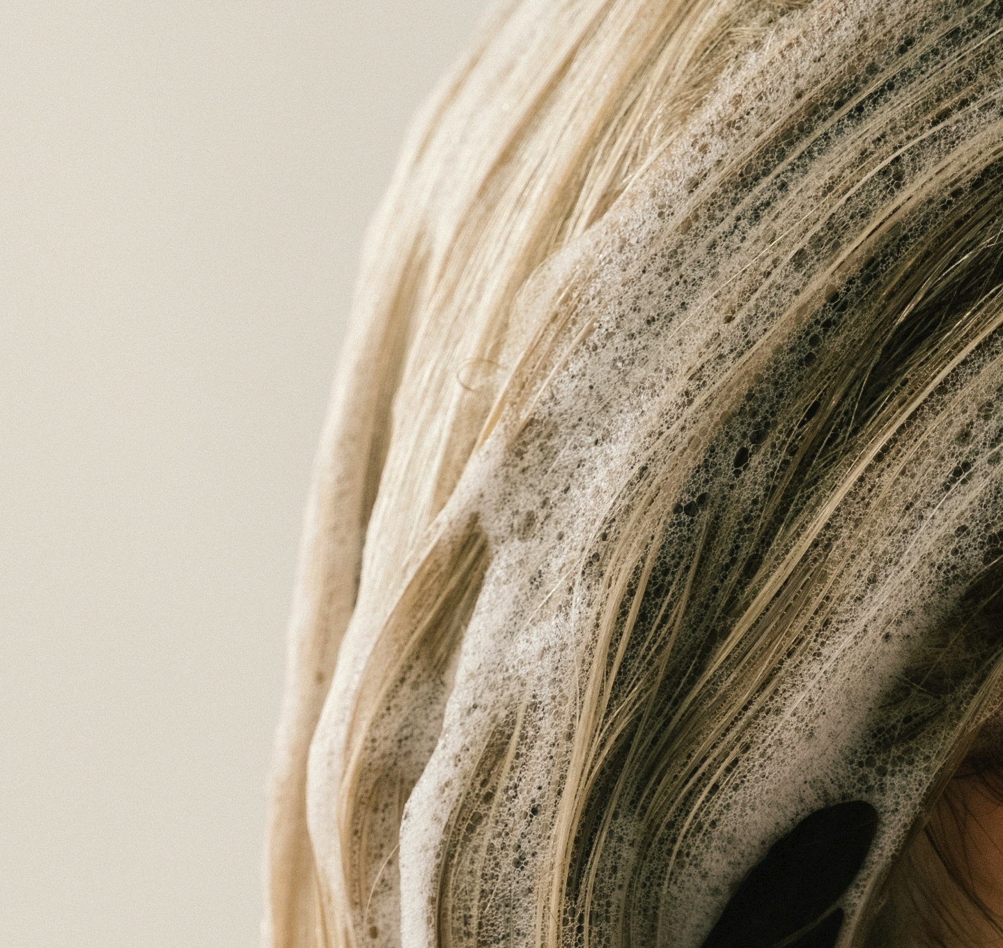 mathilde-langevin-y_aTsHkclrc-unsplash.png