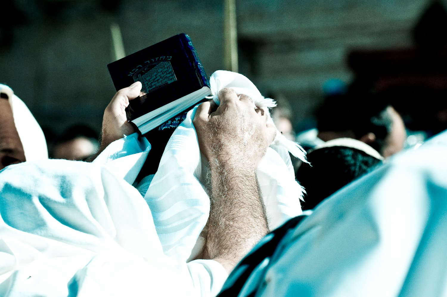 024_Documentary__38_of_1_.jpg