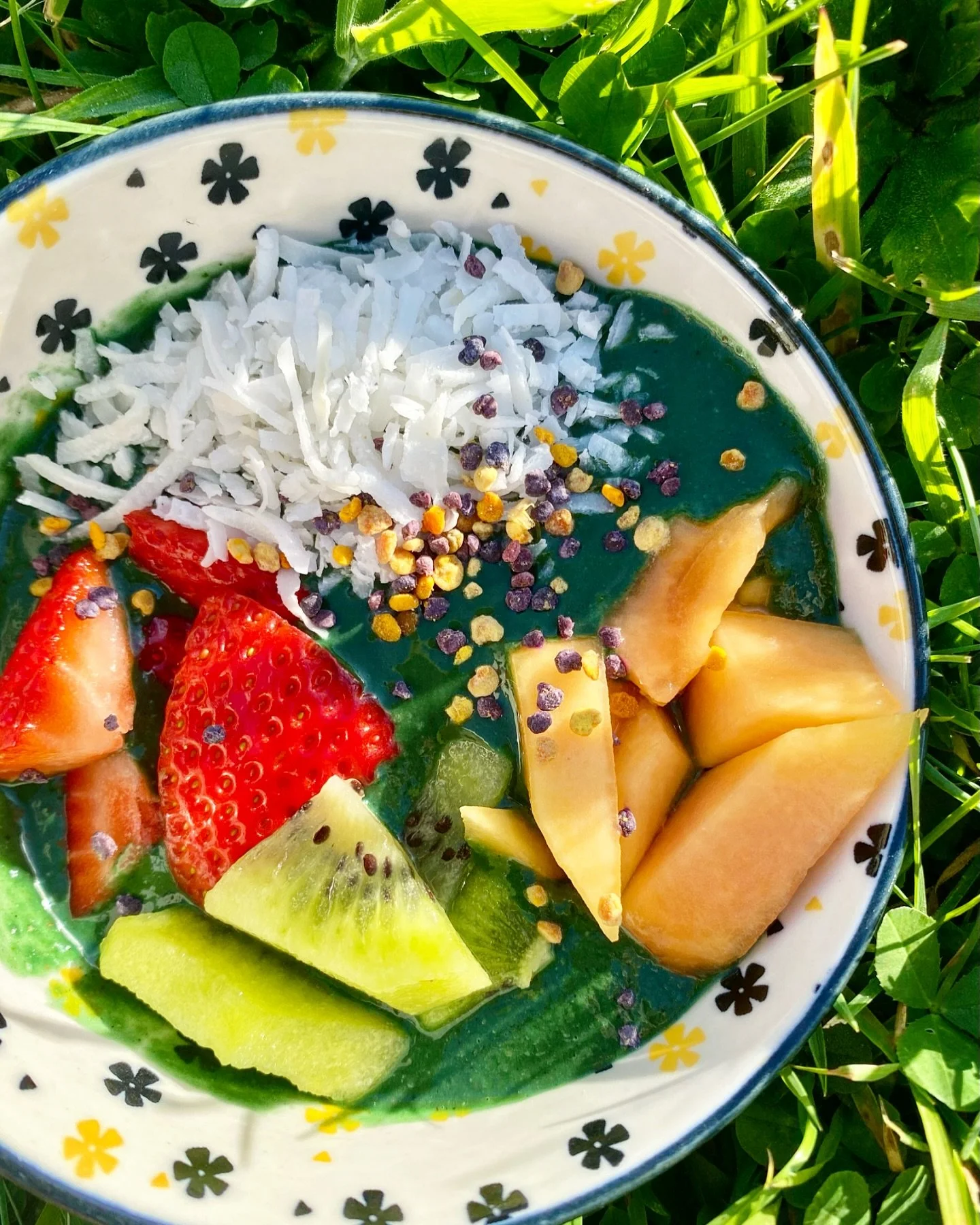 Wholesome natural food isn&rsquo;t just for dogs! 🍓 

I started my journey into providing dogs with unprocessed, natural diets after witnessing the positive changes in myself 💫 @humanbeing.vetmum 

My breakfast this morning - protein-heavy spirulin