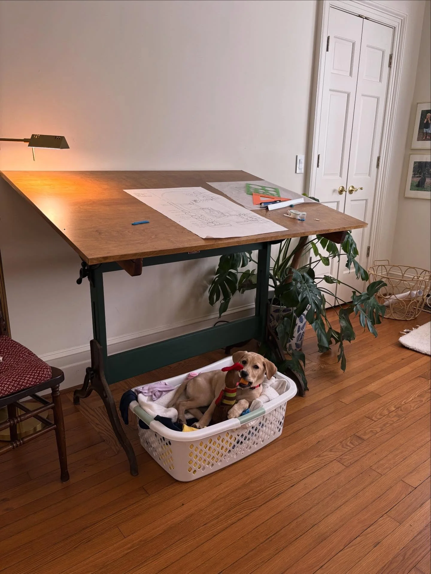 I had the joy of refinishing this old drafting table at the end of 2025 and couldn&rsquo;t be more excited to get to work (scroll to see before).

Here&rsquo;s to a brand New Year, a new drafting spot (dog and laundry included), and some new and exci
