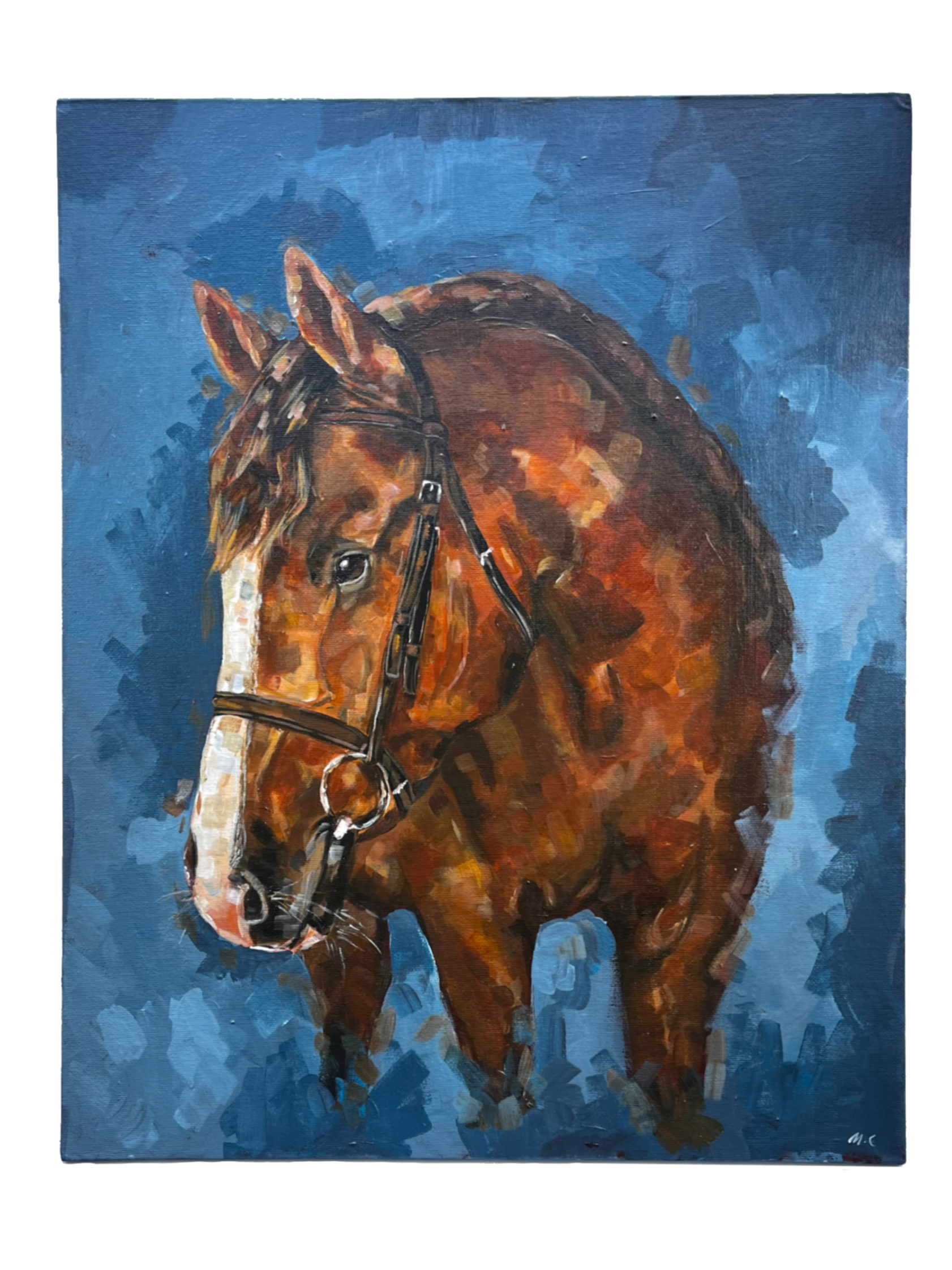 Chestnut Horse