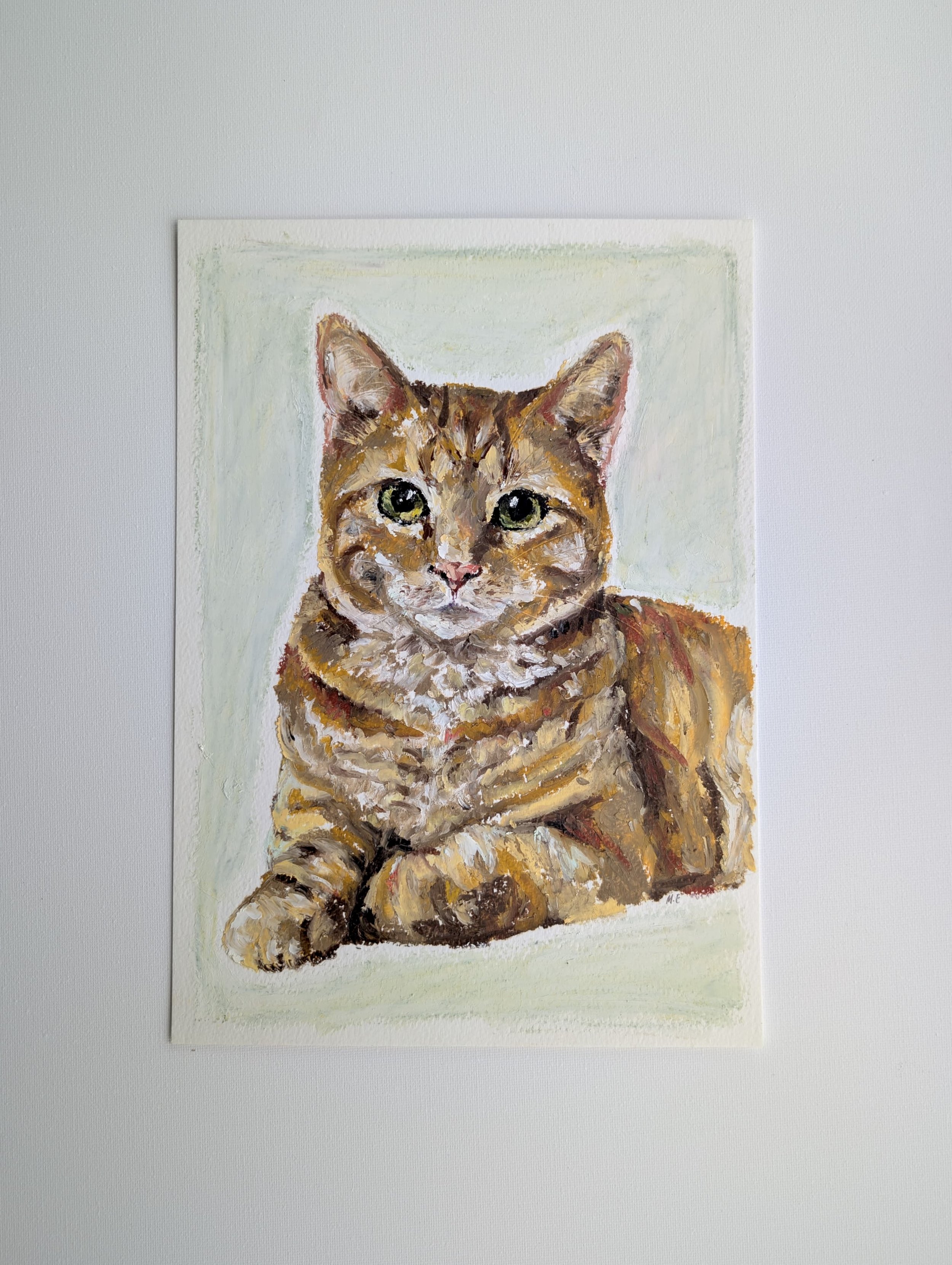 Green eyed Cat