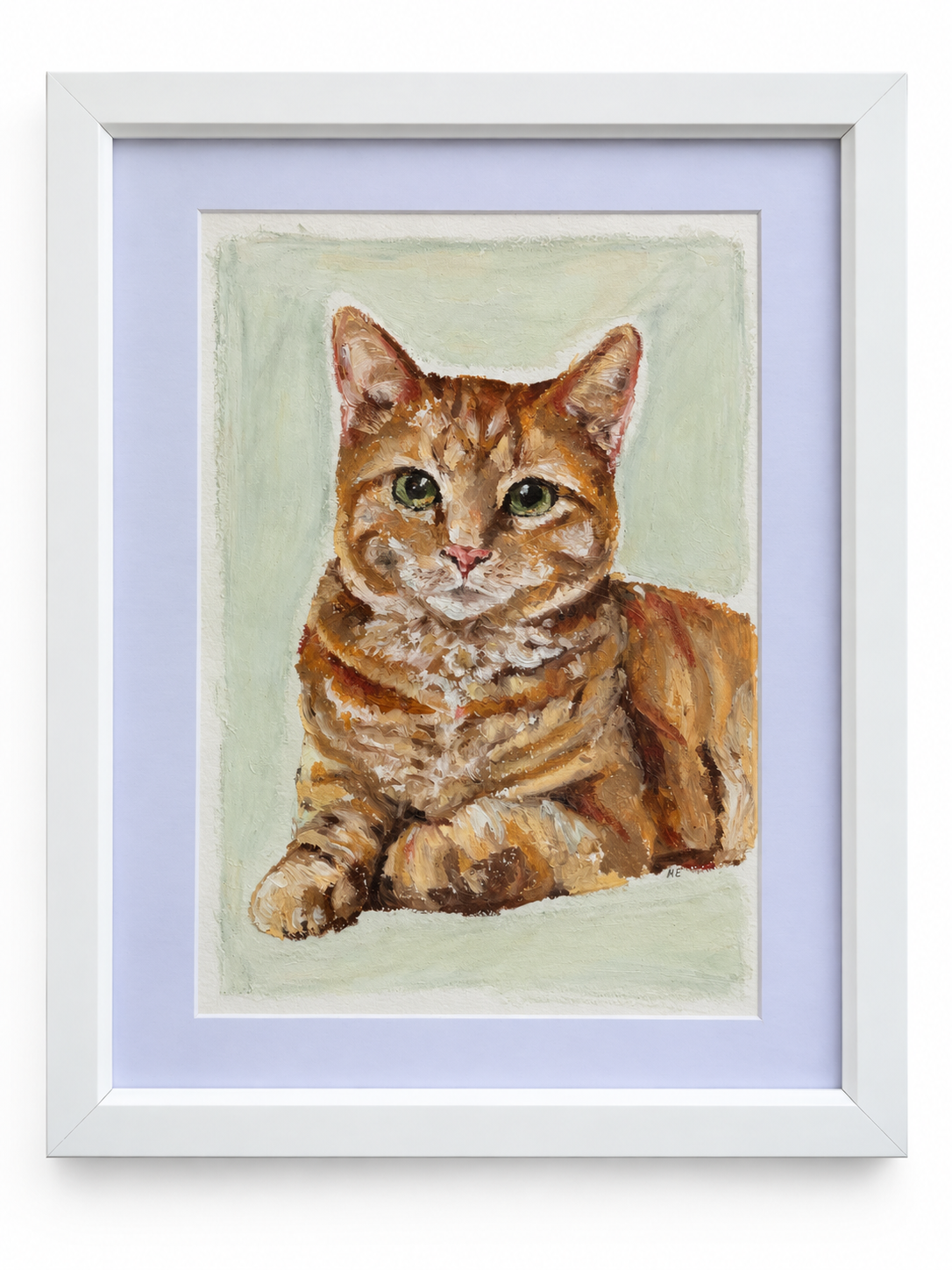 Green eyed Cat