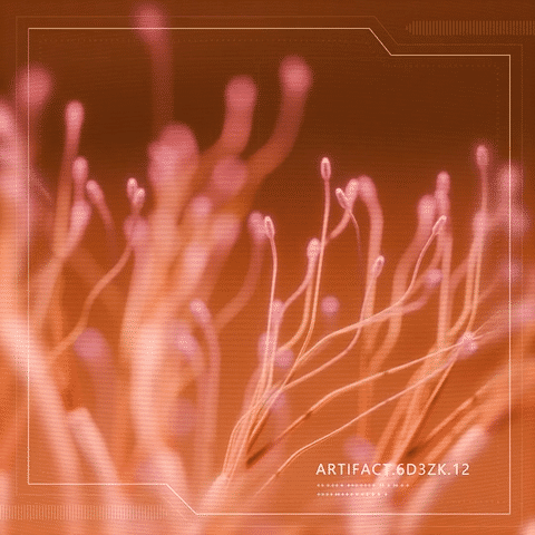 ABSTRACT • ARTIFACT-low.gif