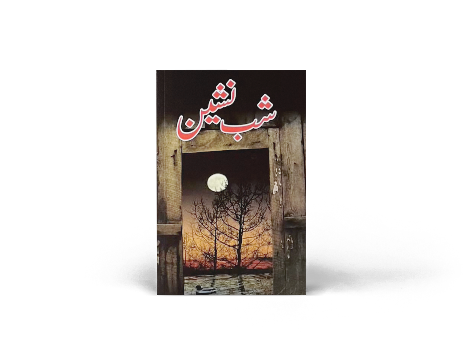 Shabnasheen