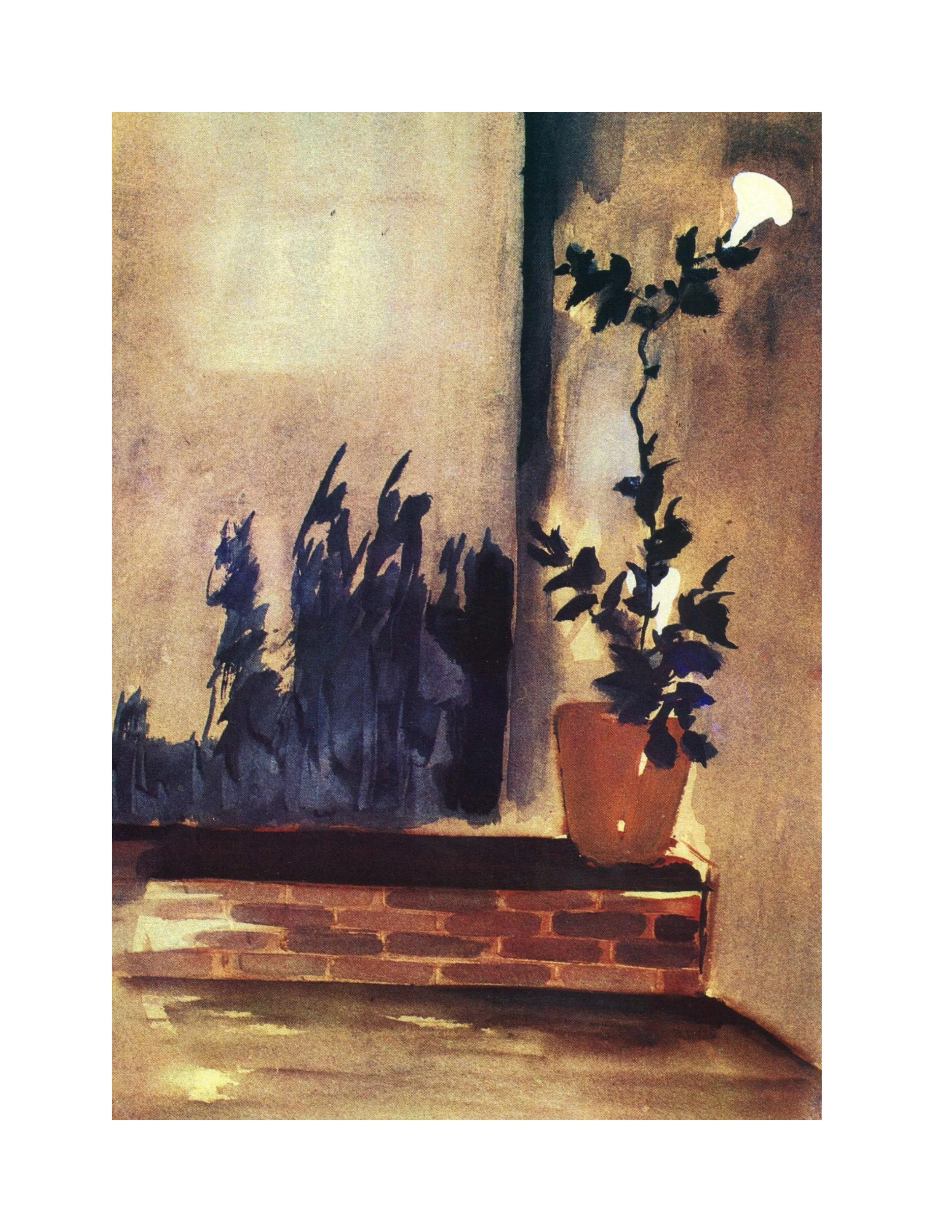 Selected Poems of Shaheen by Baidar Bakht