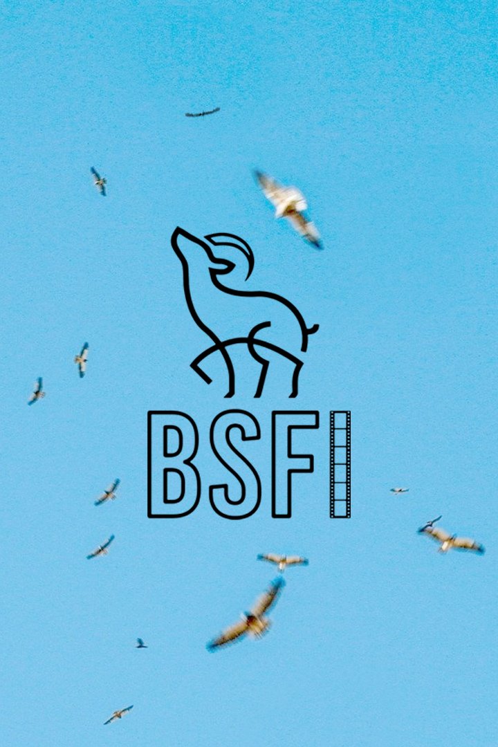 Feb. 18, Borrego Springs, CA