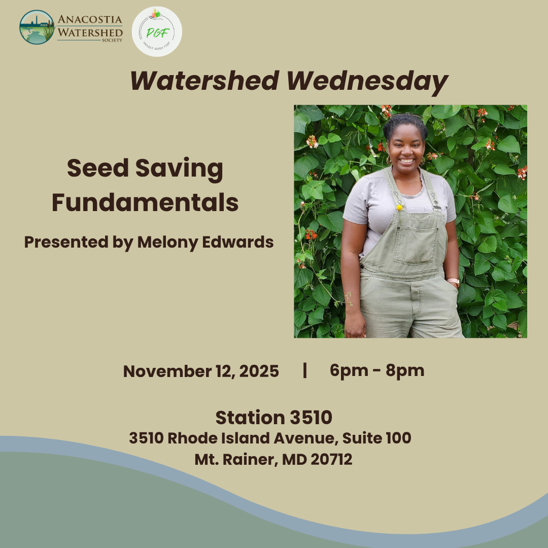 Watershed Wednesday - Seed Saving Fundamentals
