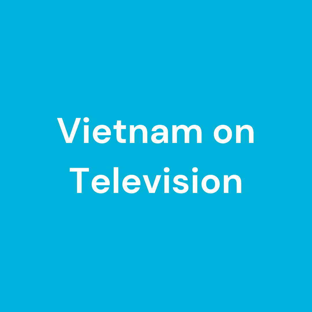 Vietnam on Television