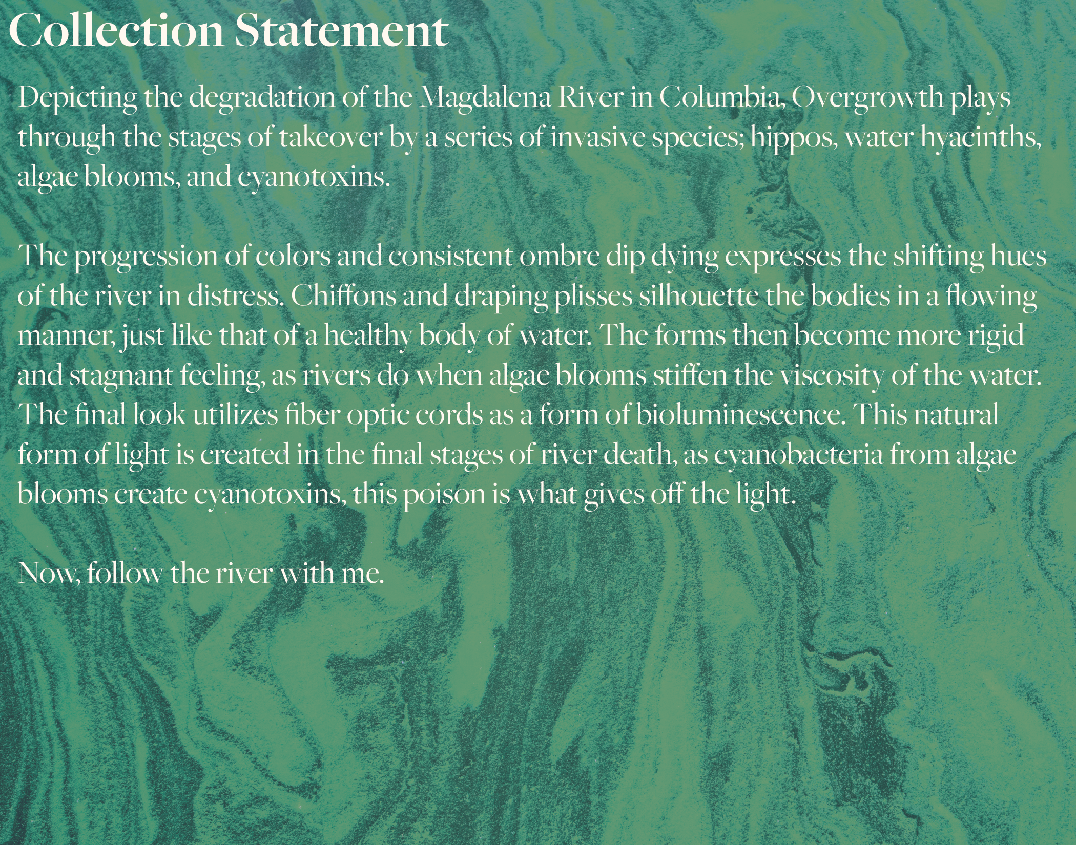 HIPPO THESIS BOARDS_Collection Statement.png