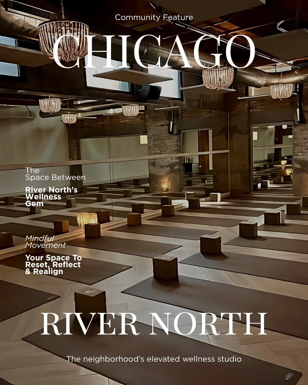 Chicago River North Crystal Tran Team Real Estate Chicago