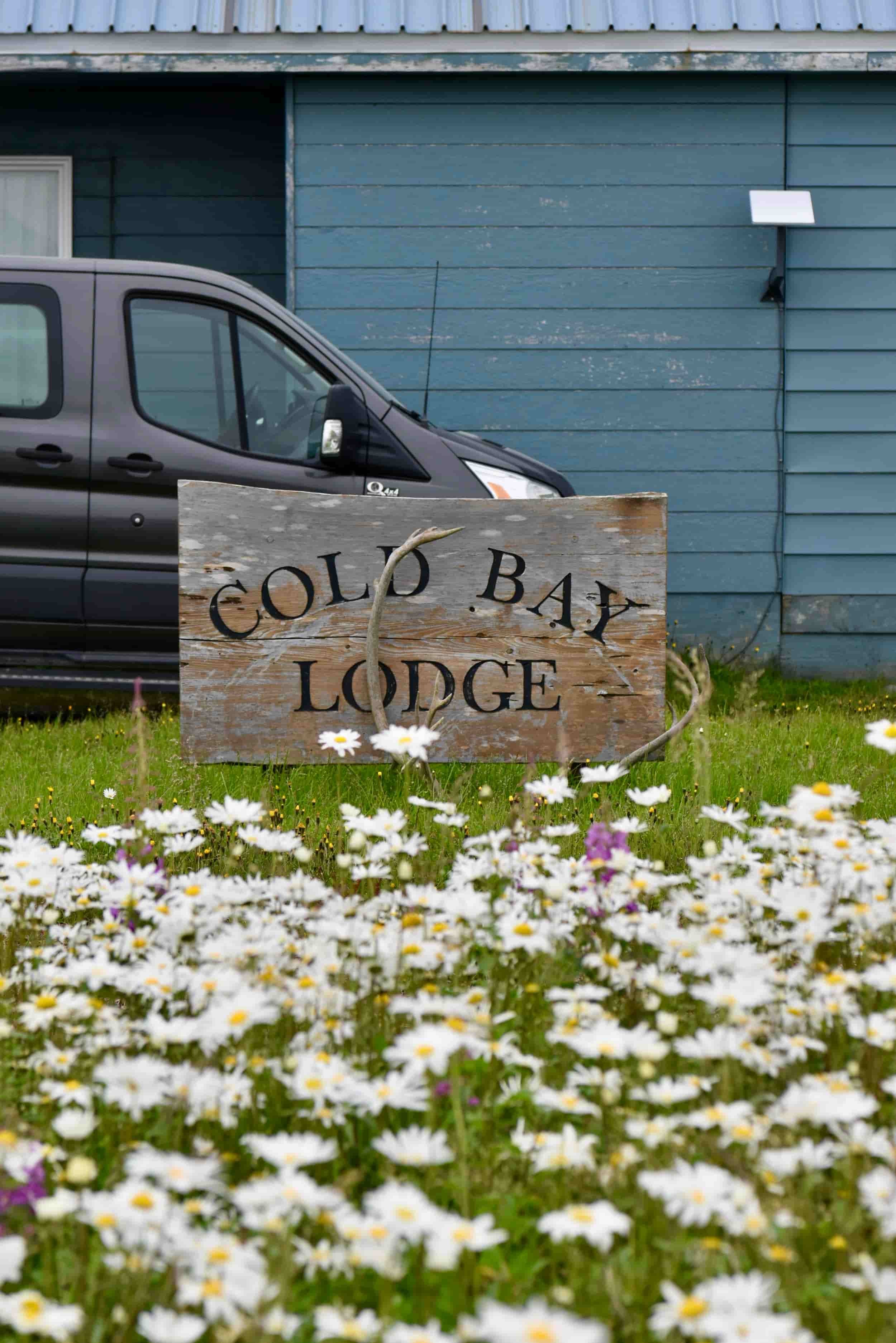 cold bay lodge original sign sitting in a field of wildflowers