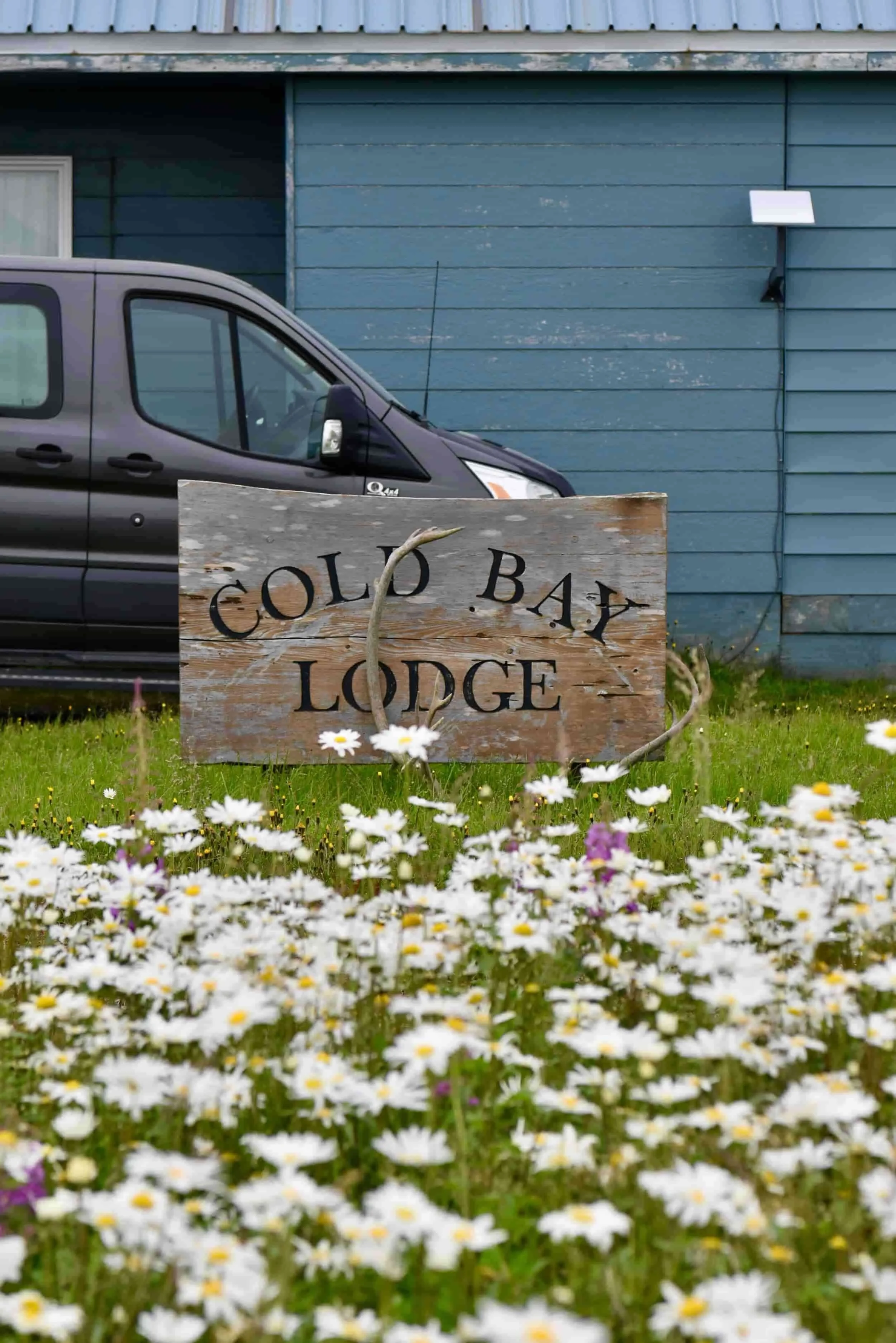 A rustic wooden sign reading 'Gold Bay Lodge' in front of a black van with a blue building in the background, surrounded by white daisies and some purple flowers.