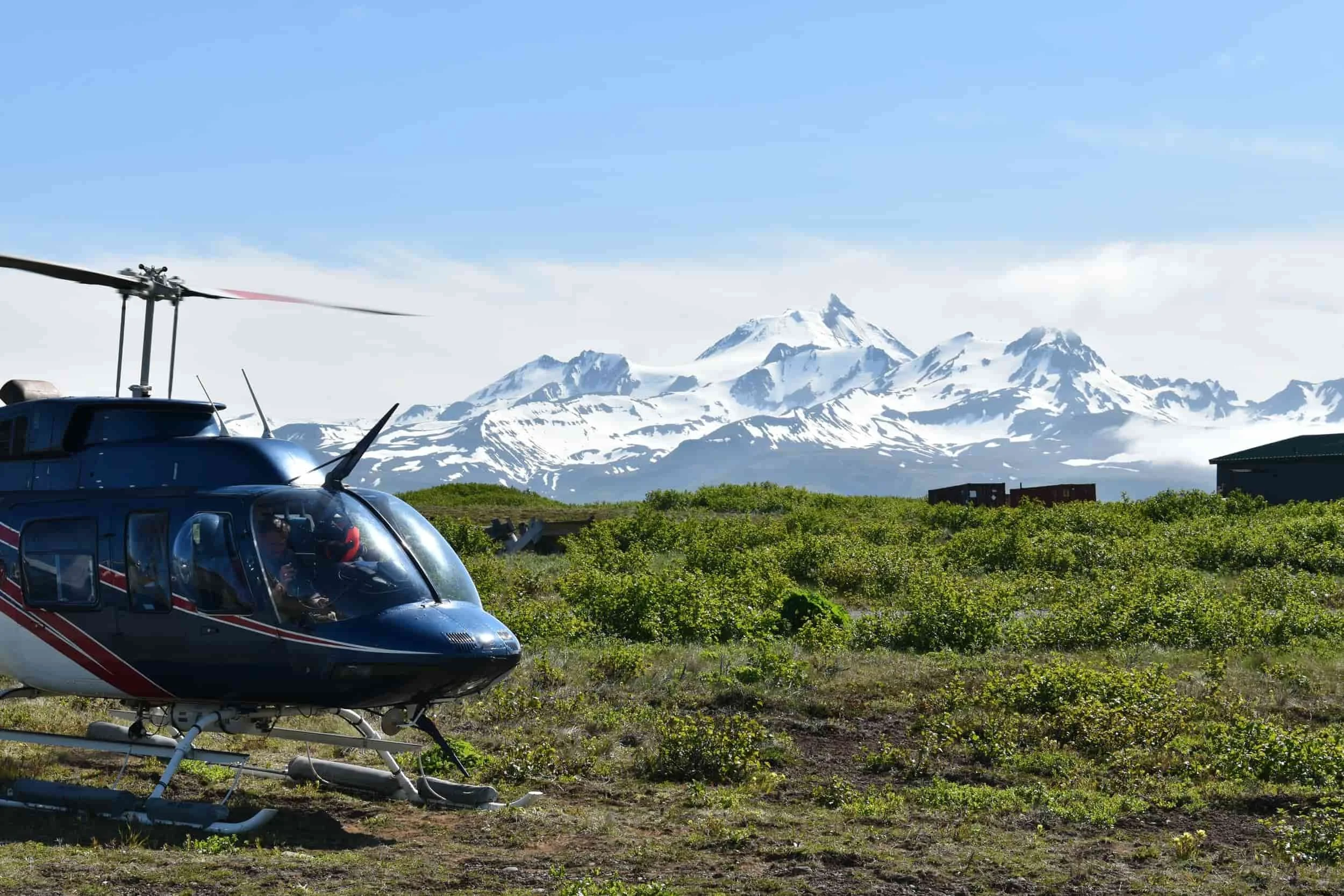 A helicopter parked on grass in front of snow-capped mountains and green foliage under a clear blue sky.