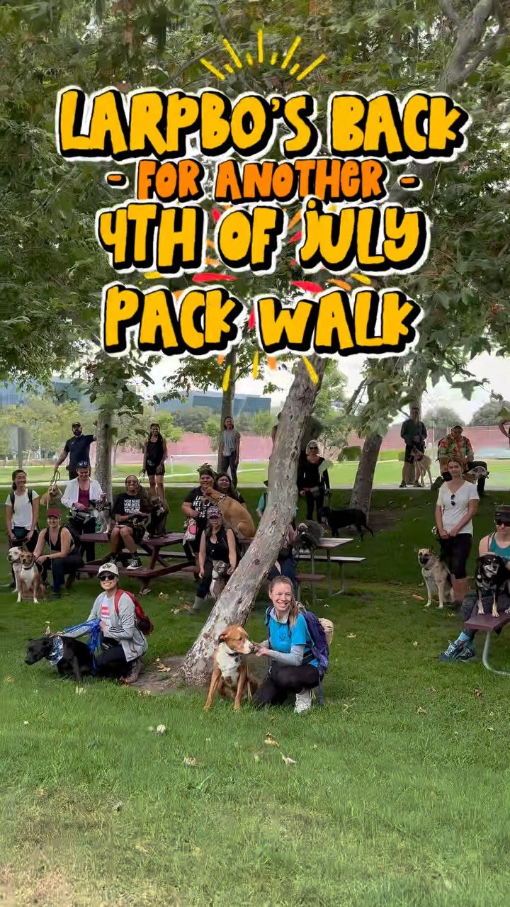 Just a few spots left! Start the holiday with your dog by your side, moving in sync, building trust, and practicing calm in a group that gets it. This isn’t just a walk, it’s a chance to help your dog feel safe, seen, and connected. Show