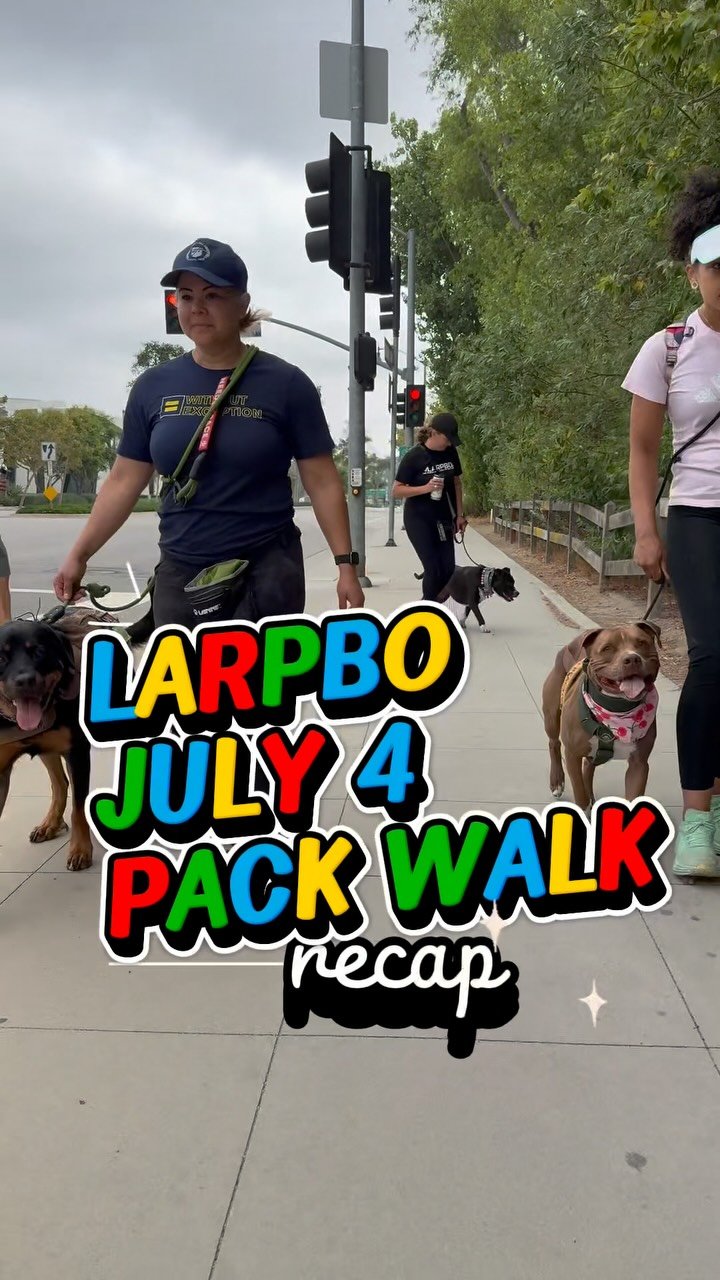 For many dogs, the 4th of July can feel overwhelming, but 40 handlers showed up to start the day with calm, connection, and community. Movement before mayhem. Structure before stress. So proud of this pack for setting the tone, the right kind of bang