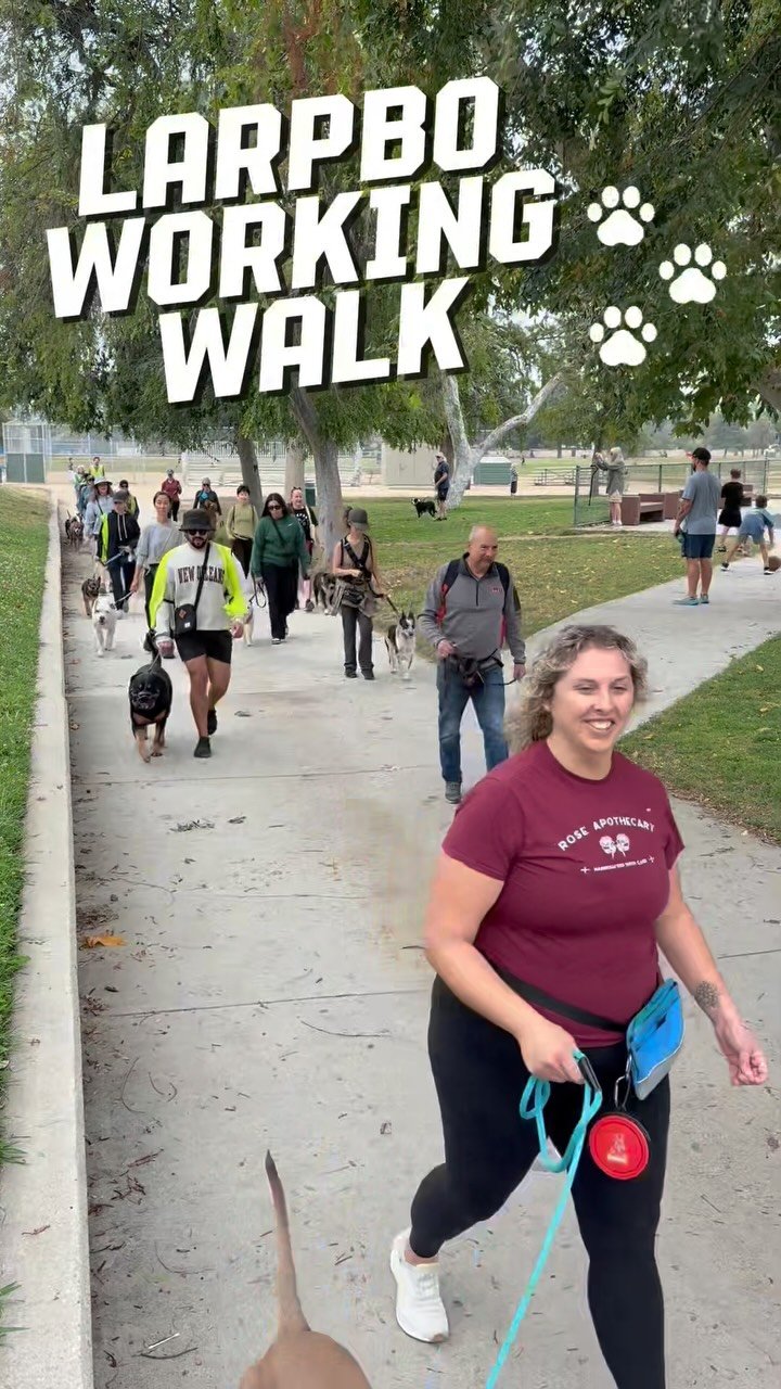 Working Walk this weekend. Training doesn’t have to be rigid to be effective. Our working walks blend structure with fun, navigating real life distractions, integrating drills, and strengthening the bond between you and your dog. Open to all sk