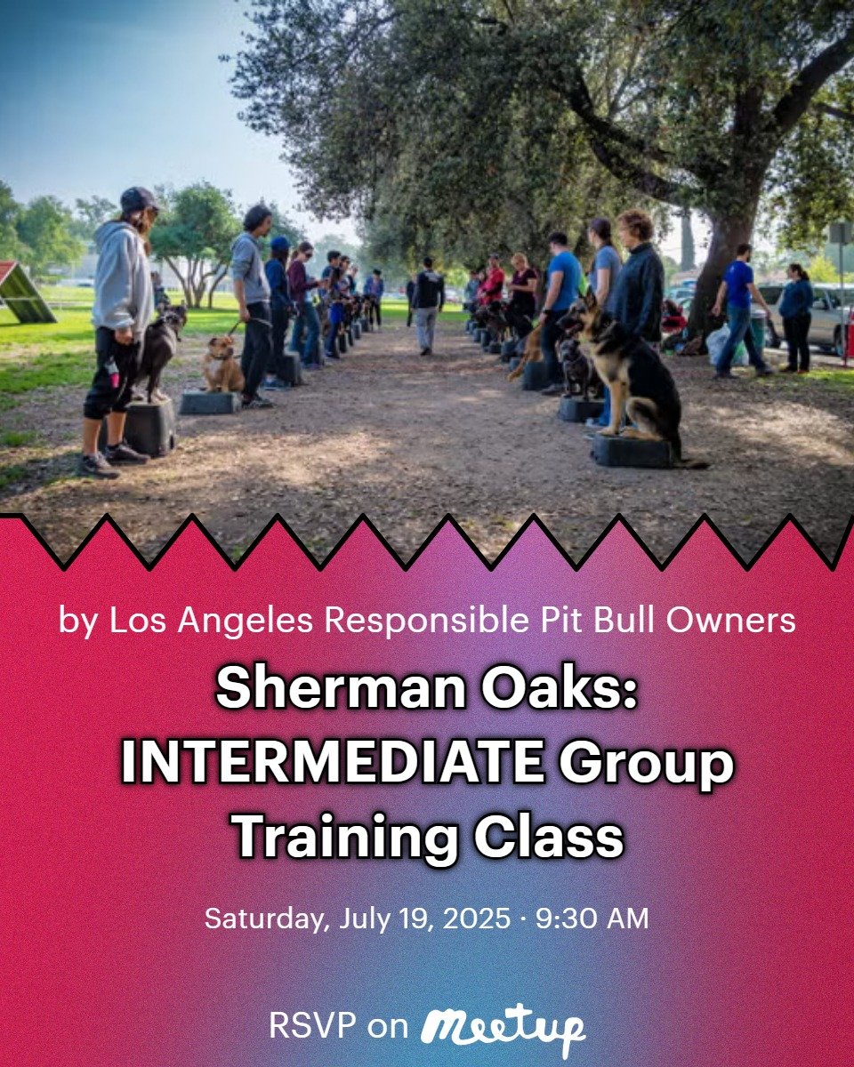 Intermediate Class is where things start to come together. After completing the intro series, this class is about putting your foundation to the test, navigating more complex drills and handling challenges that require you to apply what you’ve