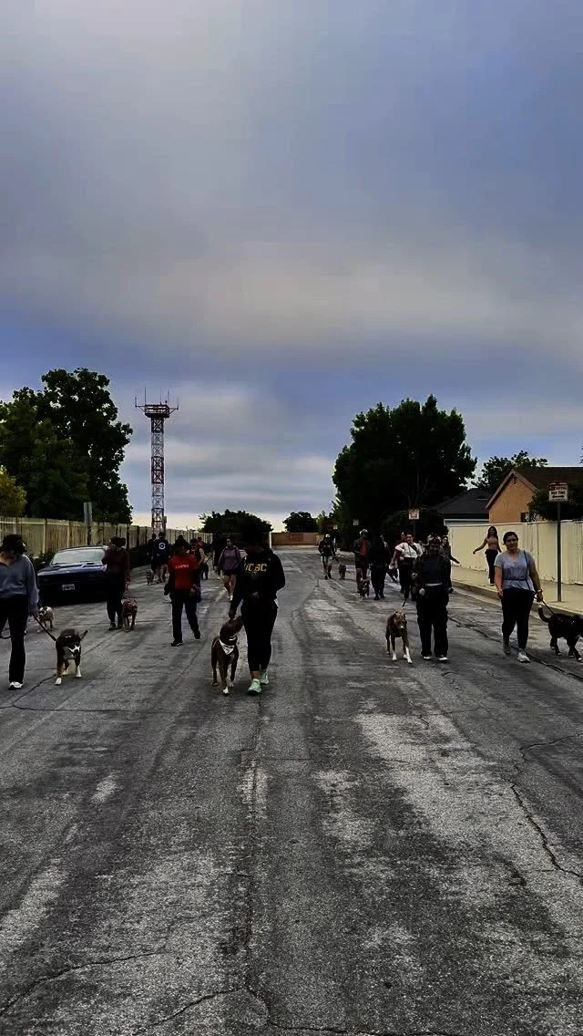 Every journey starts with a dream. From quiet pack walks to camping under the stars, to boarding a plane side by side, these are the bucket list hopes our handlers shared last Tuesday. Not just goals, but glimpses of what’s possible when we sho