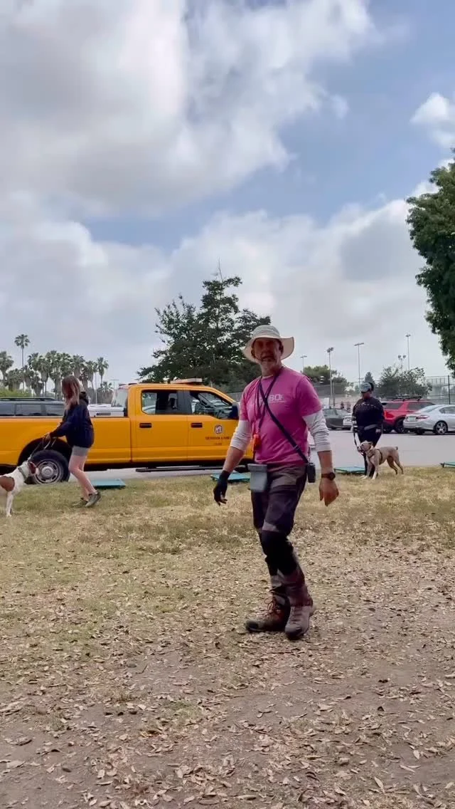 Meet Trainer Andy! Andy teaches our Intermediate class and Advanced class. He also leads our monthly Fun Agility class and Working Walk!
Andy will be leading the Working Walk this weekend. Checkout our Meetup link to sign up for the walk, no experi