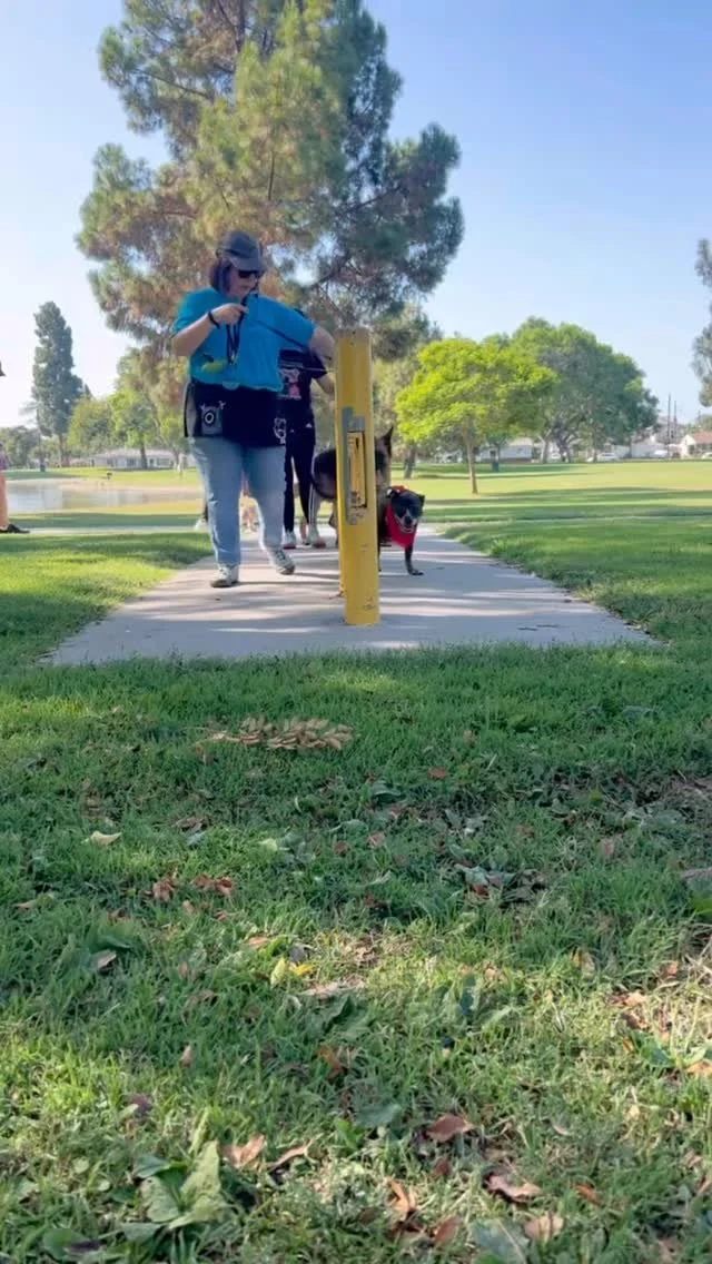 Slide 4
