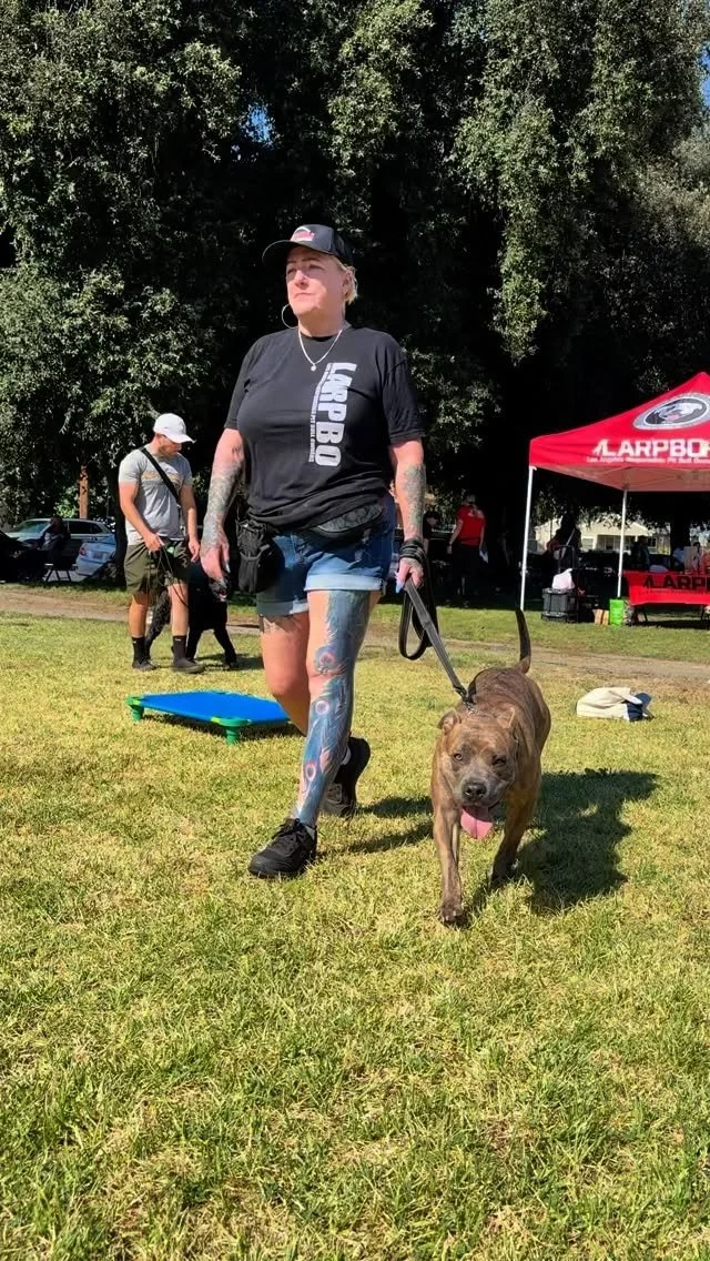 Our next Intro series starts this Saturday, 9/27 with Trainer Kat! Intro will be two classes: 9/27 and 10/4.
Check LARPBO’s Meetup link to sign up!
#larpbo #dogtraining #dogreactivity #introclass #allbreedswelcome #losangeles #shermanoaks #