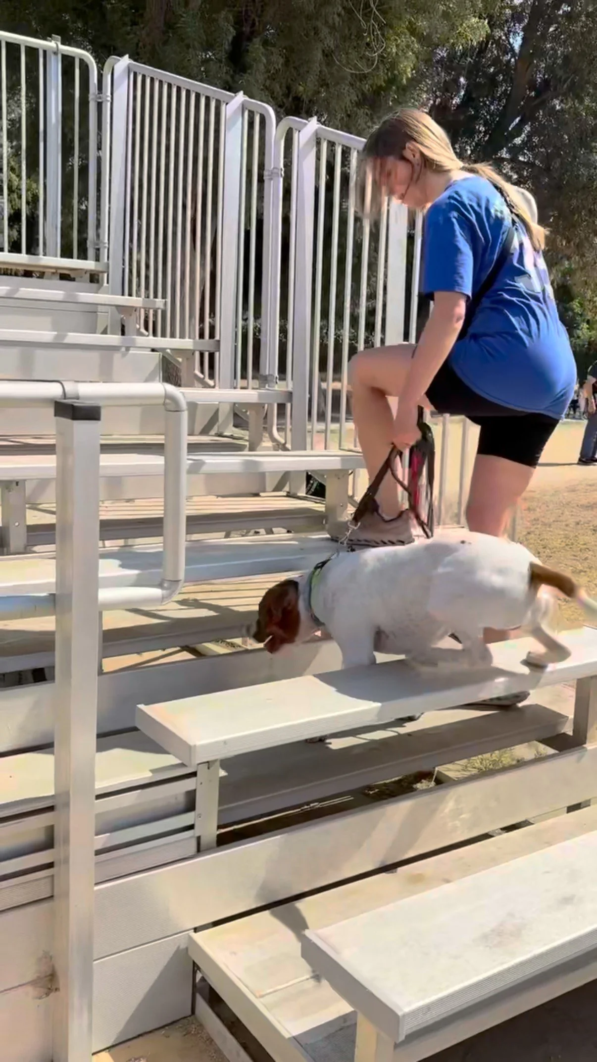 If you’ve joined us at any point over the past year - Intro, Intermediate, Working Walk, Fun Agility, or pack walk, you may have crossed paths with Charlie. He’s been a steady presence in our community, and it shows.
Charlie’s famil