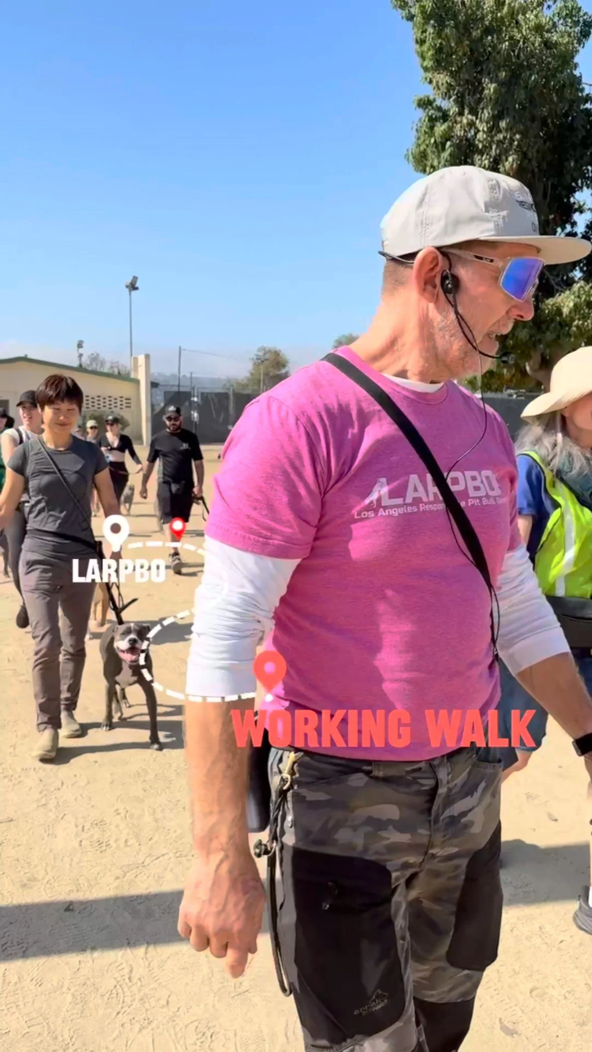 Start your weekend with a working walk tomorrow morning with Trainer Andy! The working walk will be at Sherman Oaks Park at 9:30am.
Sign up through our Meetup link!
#larpbo #dogtraining #workingwalk #dogreactivity #larpbocommunity #dogwalk #losan