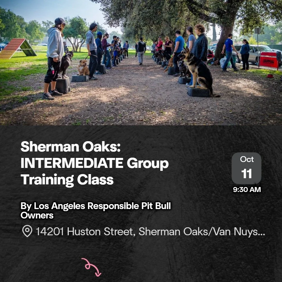 This is where the work begins. Everyone gets on the same page in the Intro Class. The Intermediate Class is where learning begins to take shape, and bonds start to take root. ABT! Always Be Training!